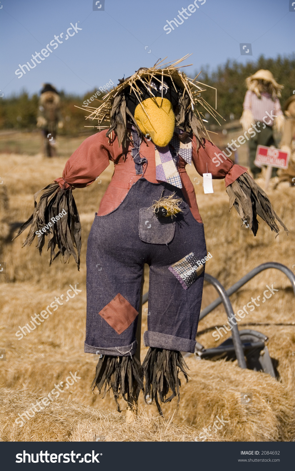 Black Crow Scarecrow Stock Photo 2084692 : Shutterstock