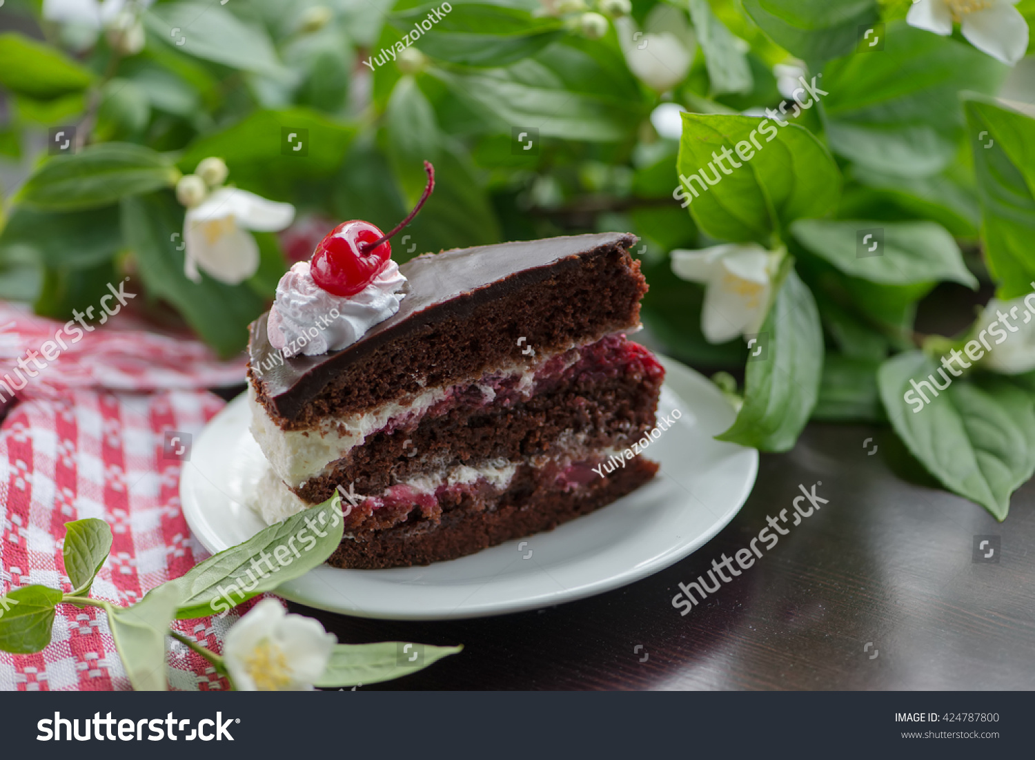 Black Forest Cake On Background Jasmine Stock Photo Edit Now