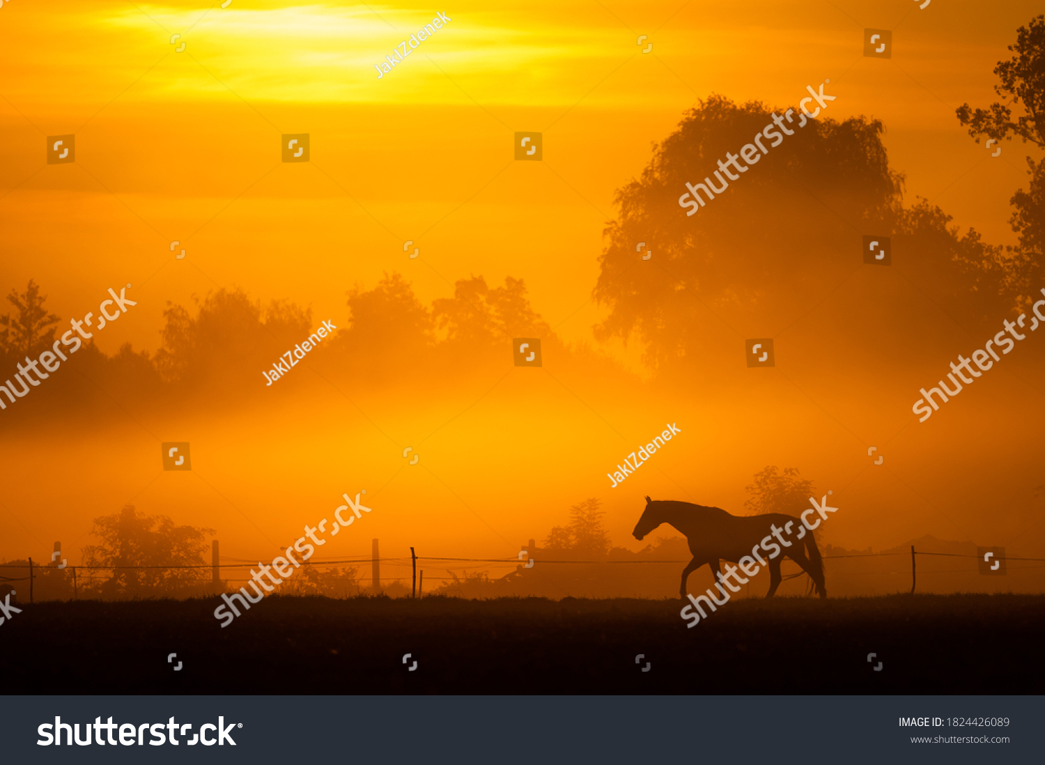 Black Horse Silhouette Natural Misty Environment Stock Photo (Edit Now ...