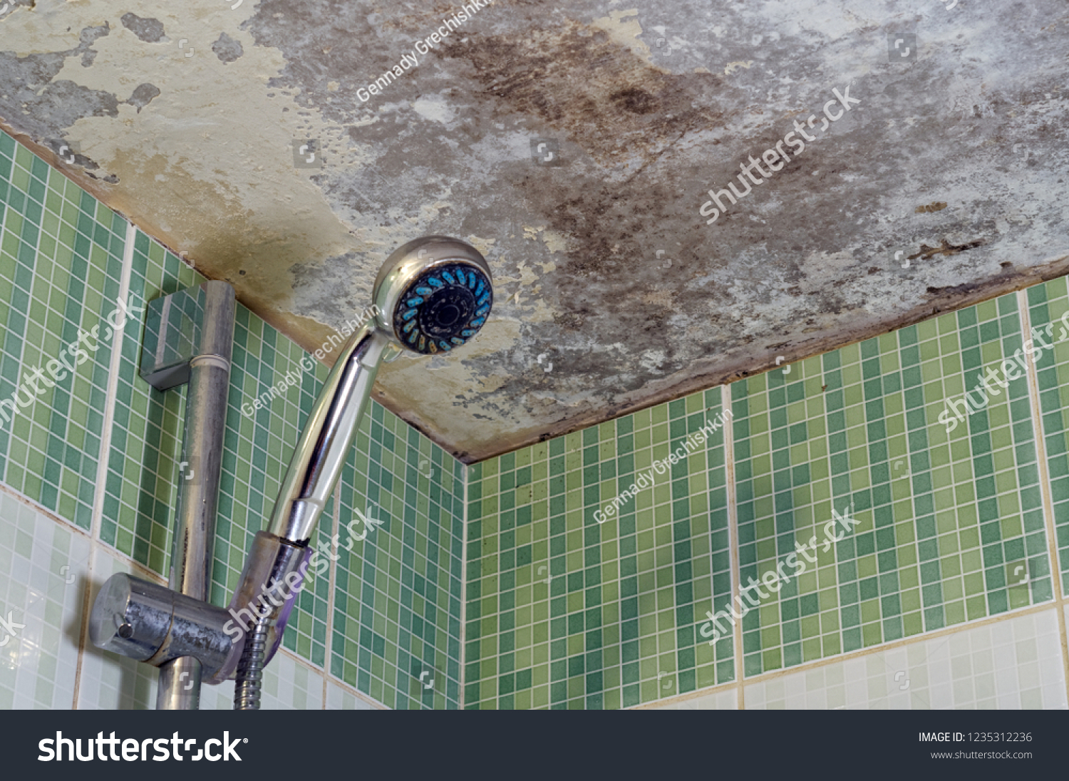 Black Mold On Ceiling Bathroom Stock Photo Edit Now 1235312236