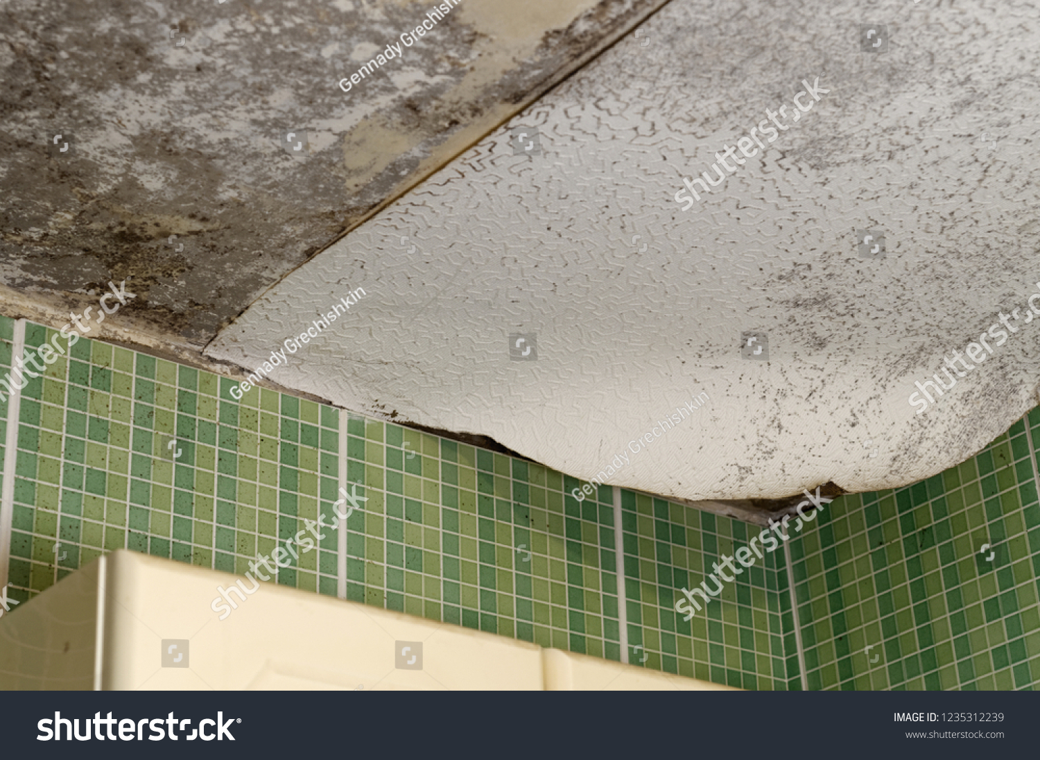 Black Mold On Ceiling Bathroom Stock Photo Edit Now 1235312239