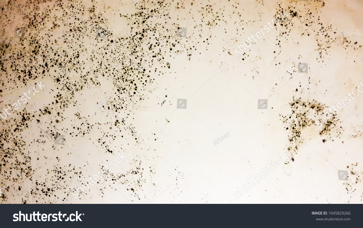 Black Mold On White Ceiling Bathroom Stock Photo Edit Now 1045829266