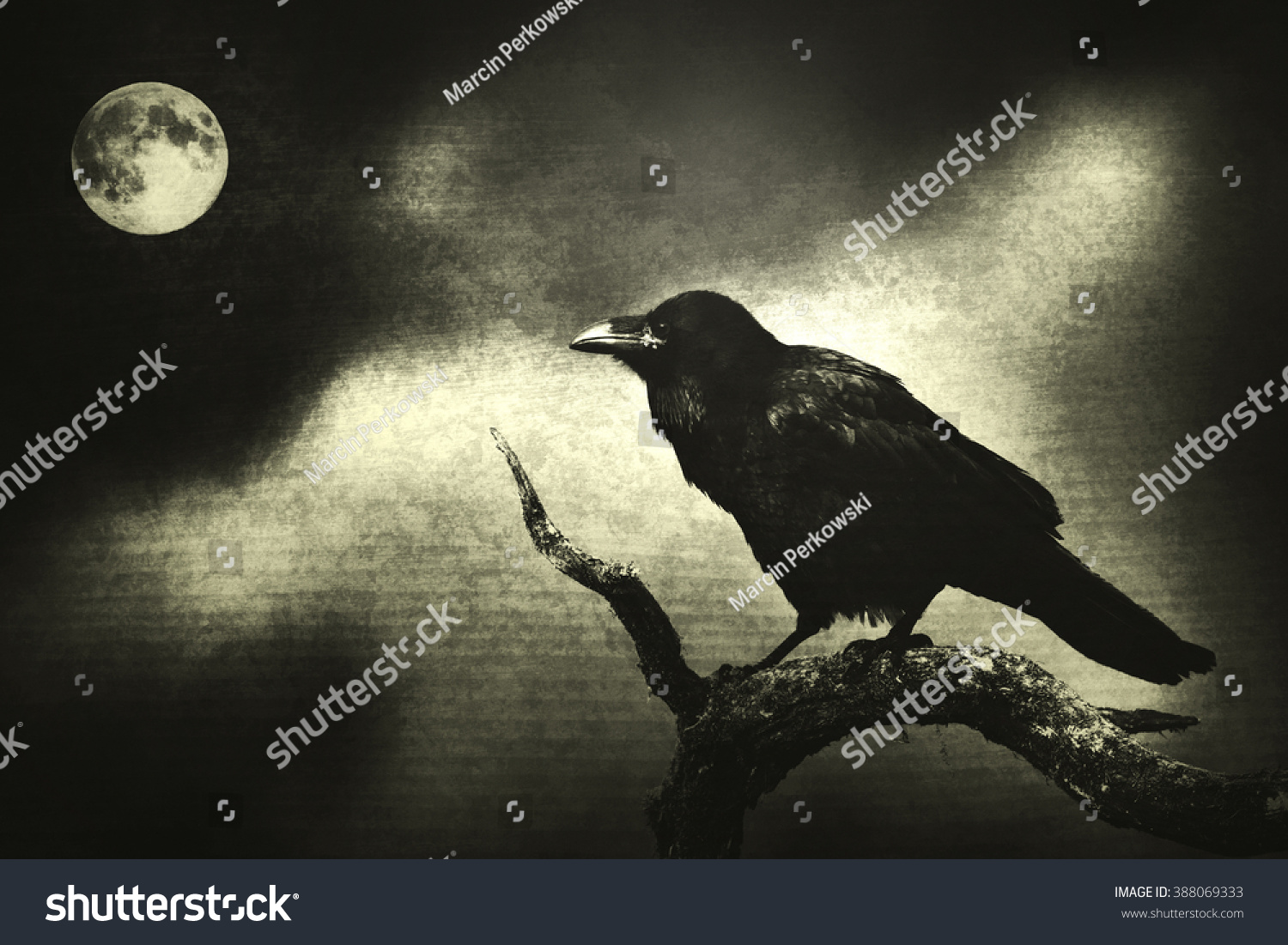 Black Raven Moonlight Perched On Tree Stock Photo 388069333 - Shutterstock