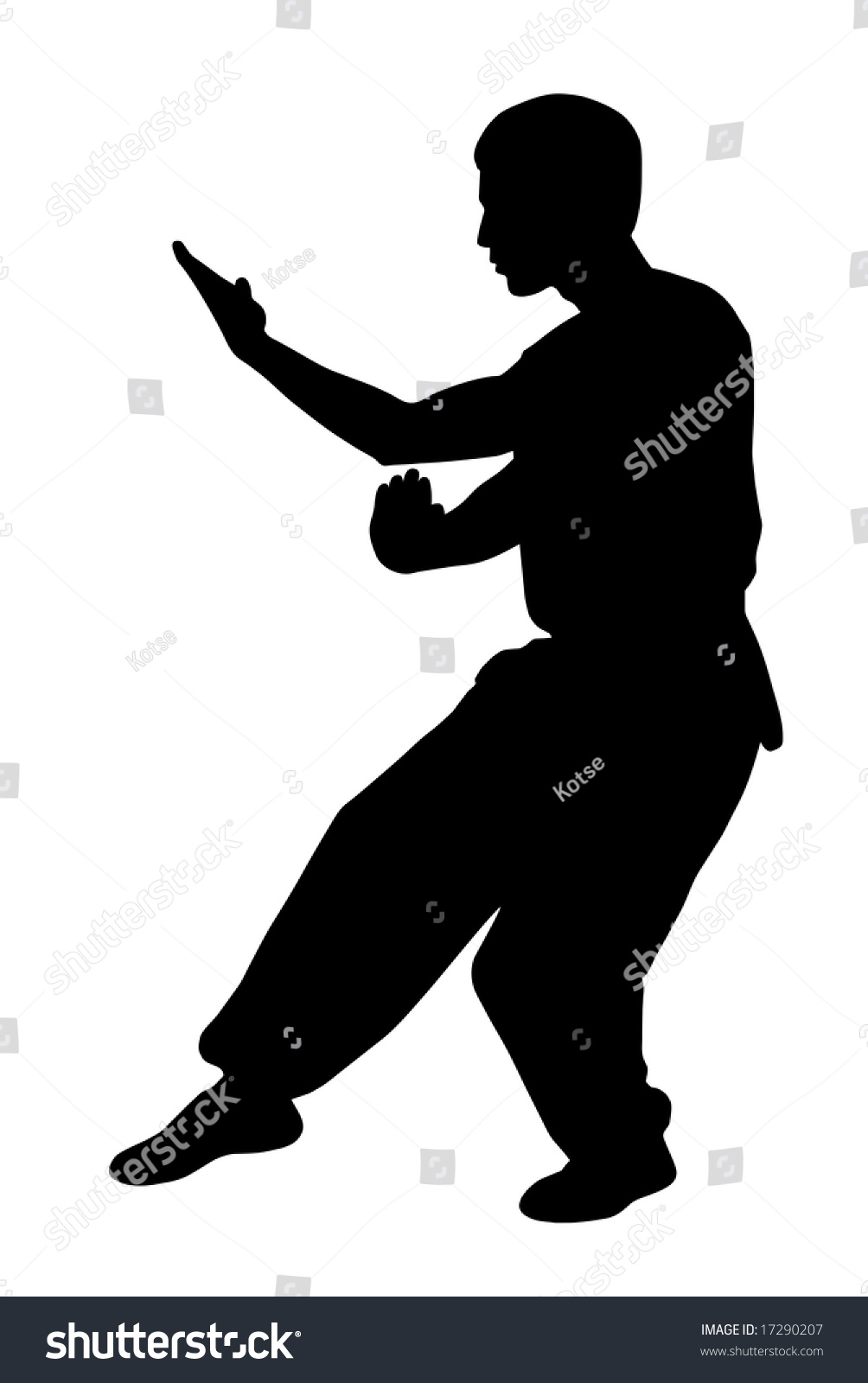 Black Silhouette Of Karate Man Prepared For Fight Stock Photo 17290207 ...