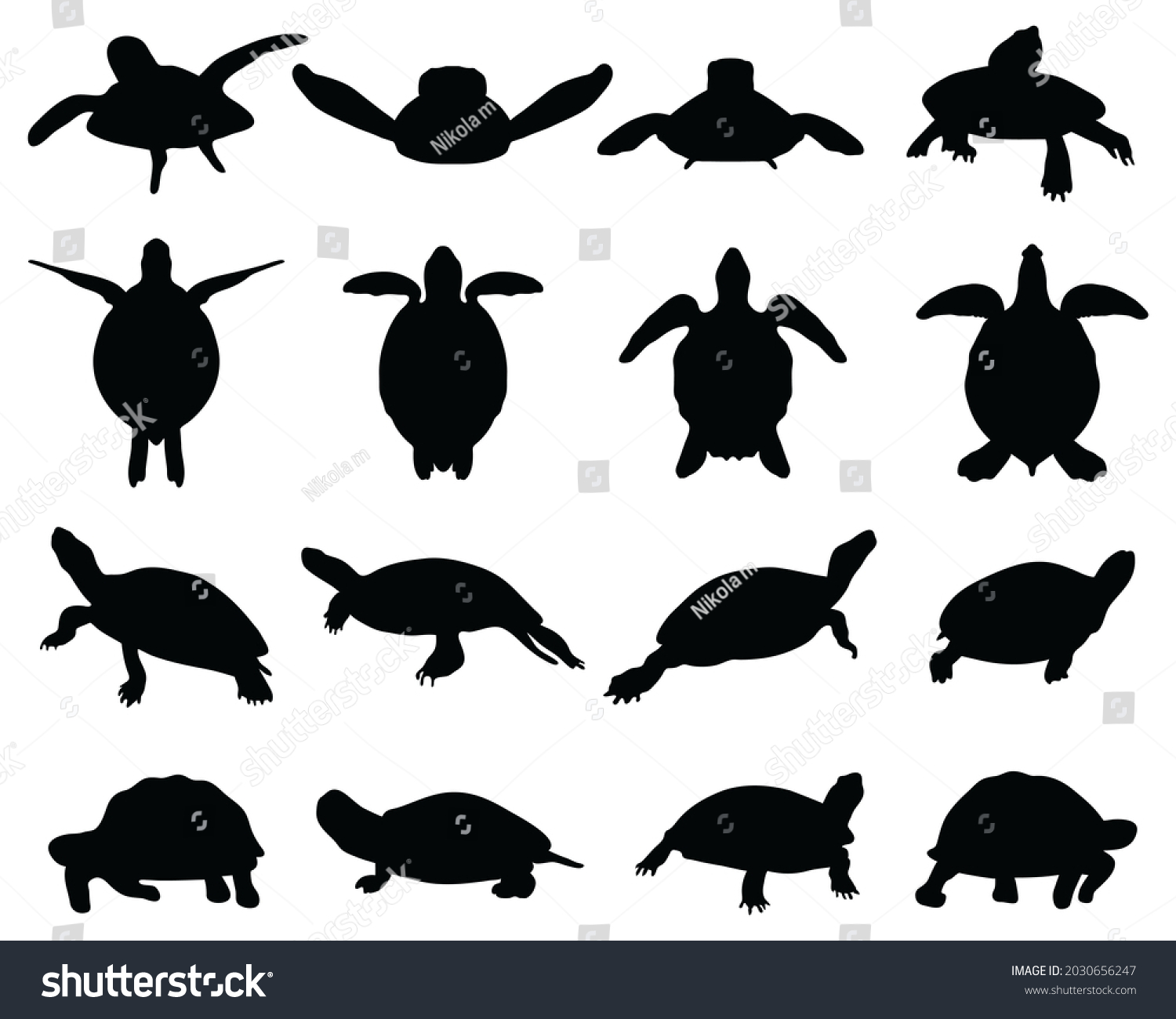 Black Silhouettes Turtles On White Background Stock Illustration 2030656247