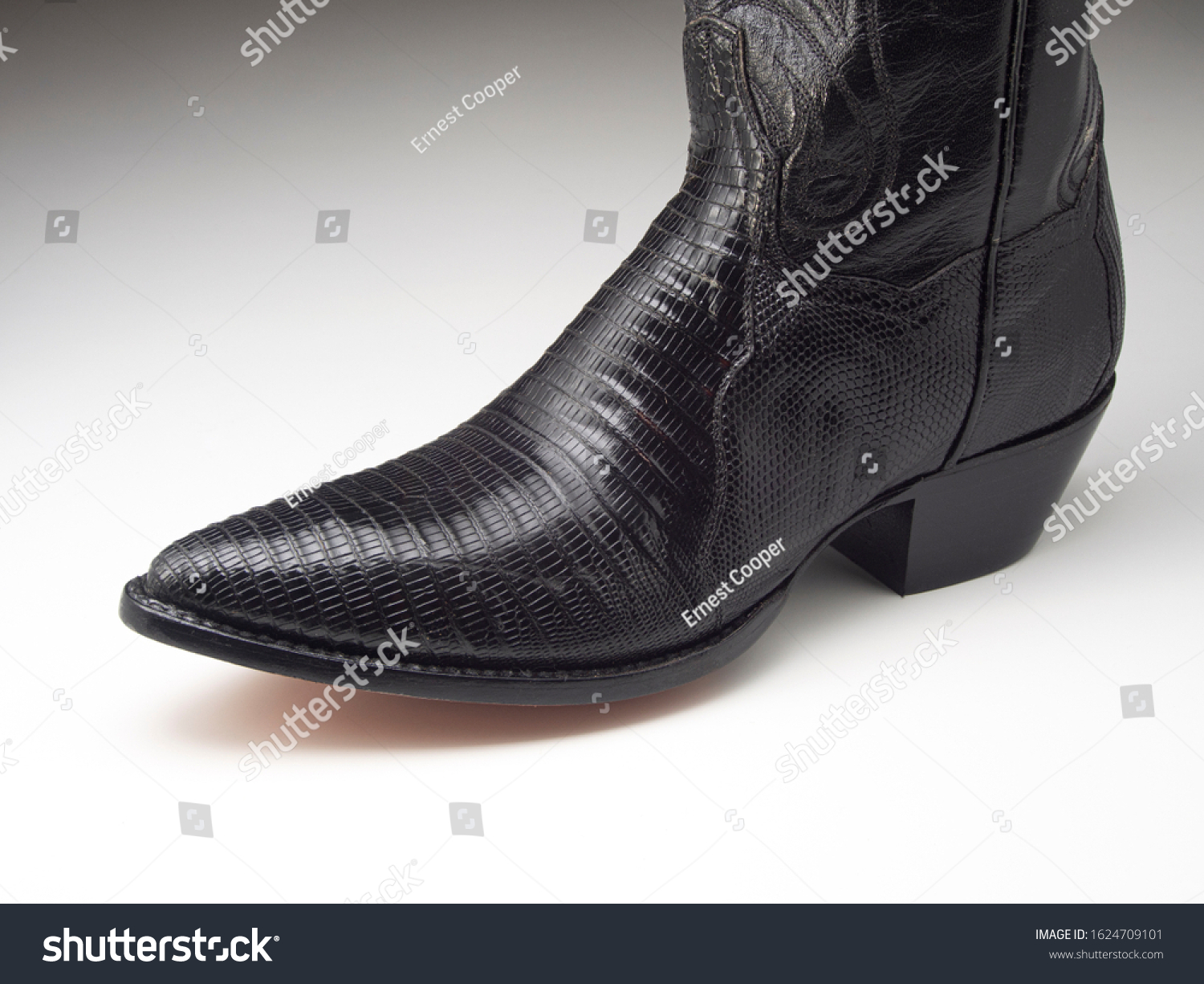 reptile skin cowboy boots