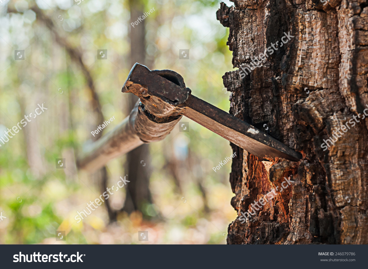 Blade Axe Down A Tree Stock Photo 246079786 Shutterstock