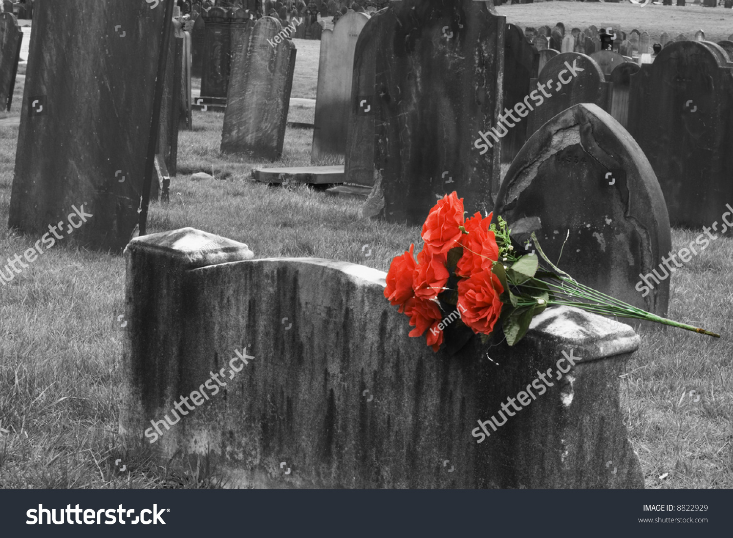 Blank Headstone In Graveyard With Bunch Of Red Roses Stock Photo ...