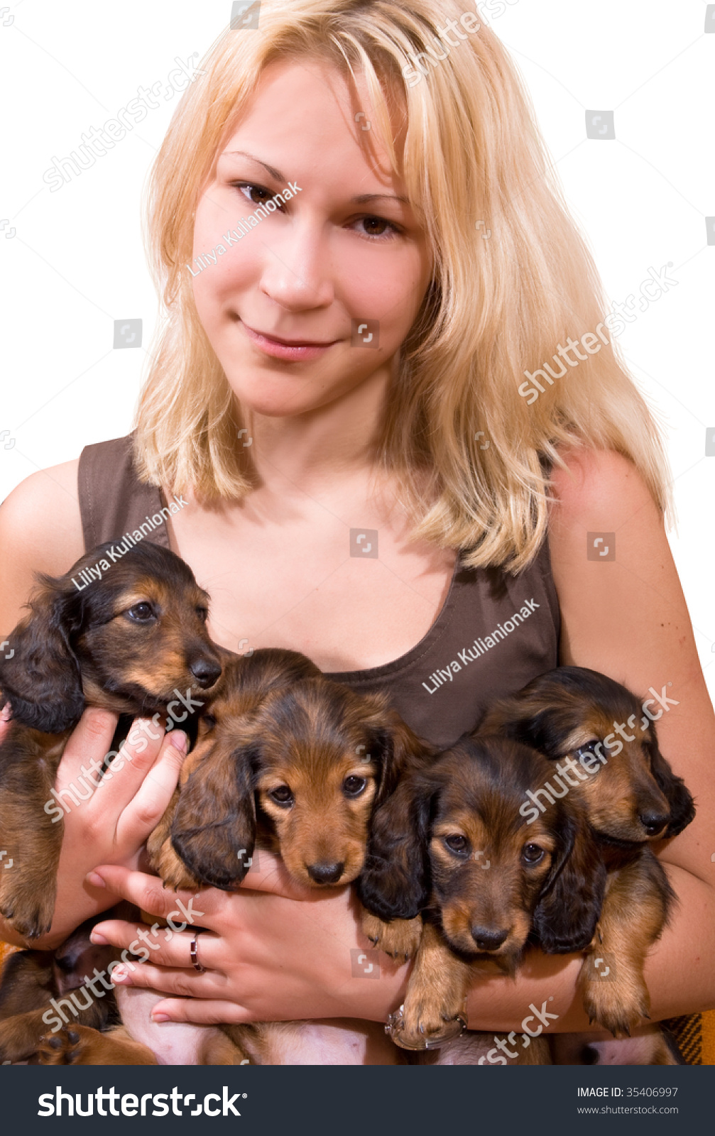 Blonde Girl Holds Long-Haired Puppy Dogs Dachshund Stock Photo 35406997 ...