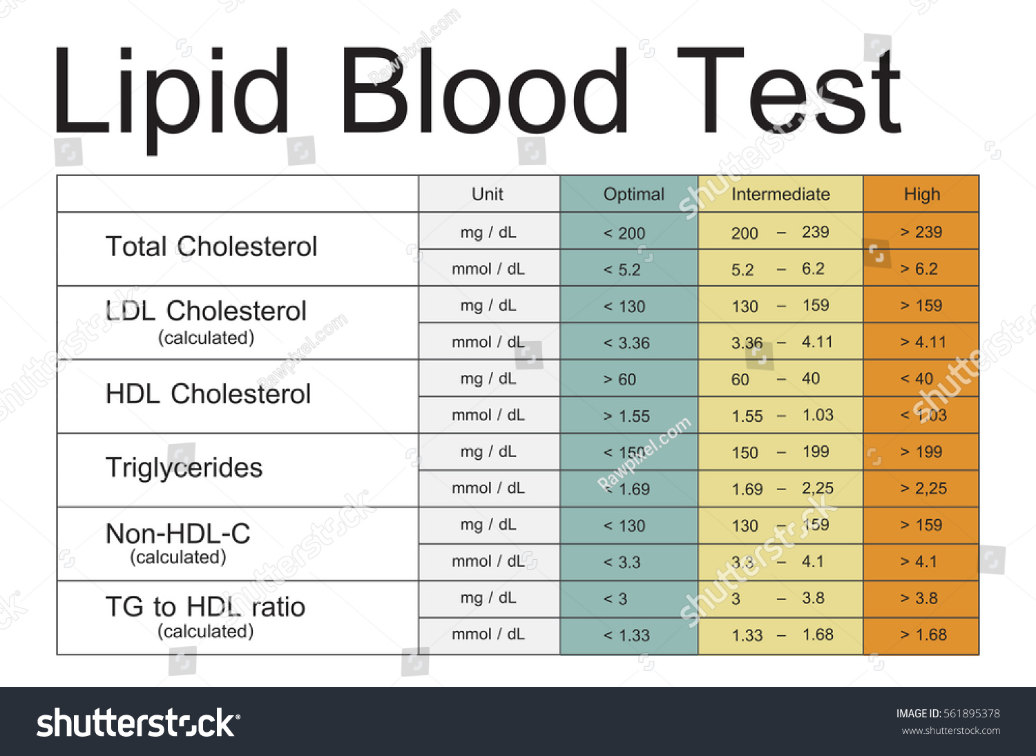 blood-cholesterol-report-test-healthcare-stock-illustration-561895378-shutterstock