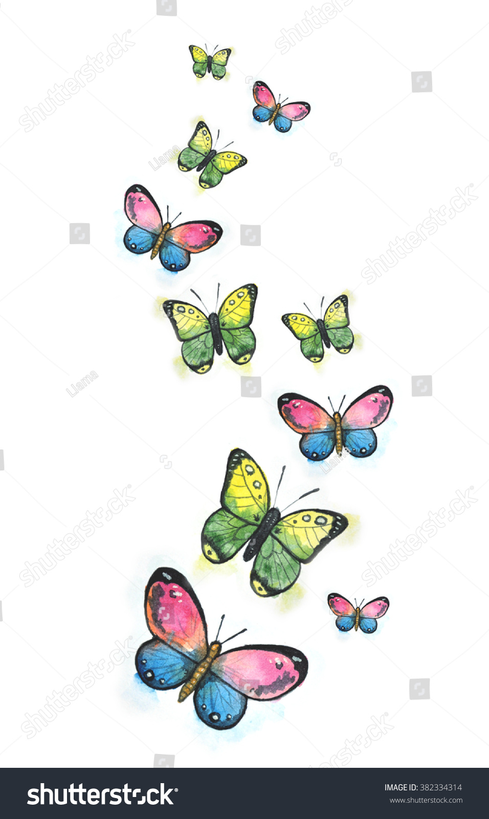 Blue Green Butterfly Stock Illustration 382334314 - Shutterstock