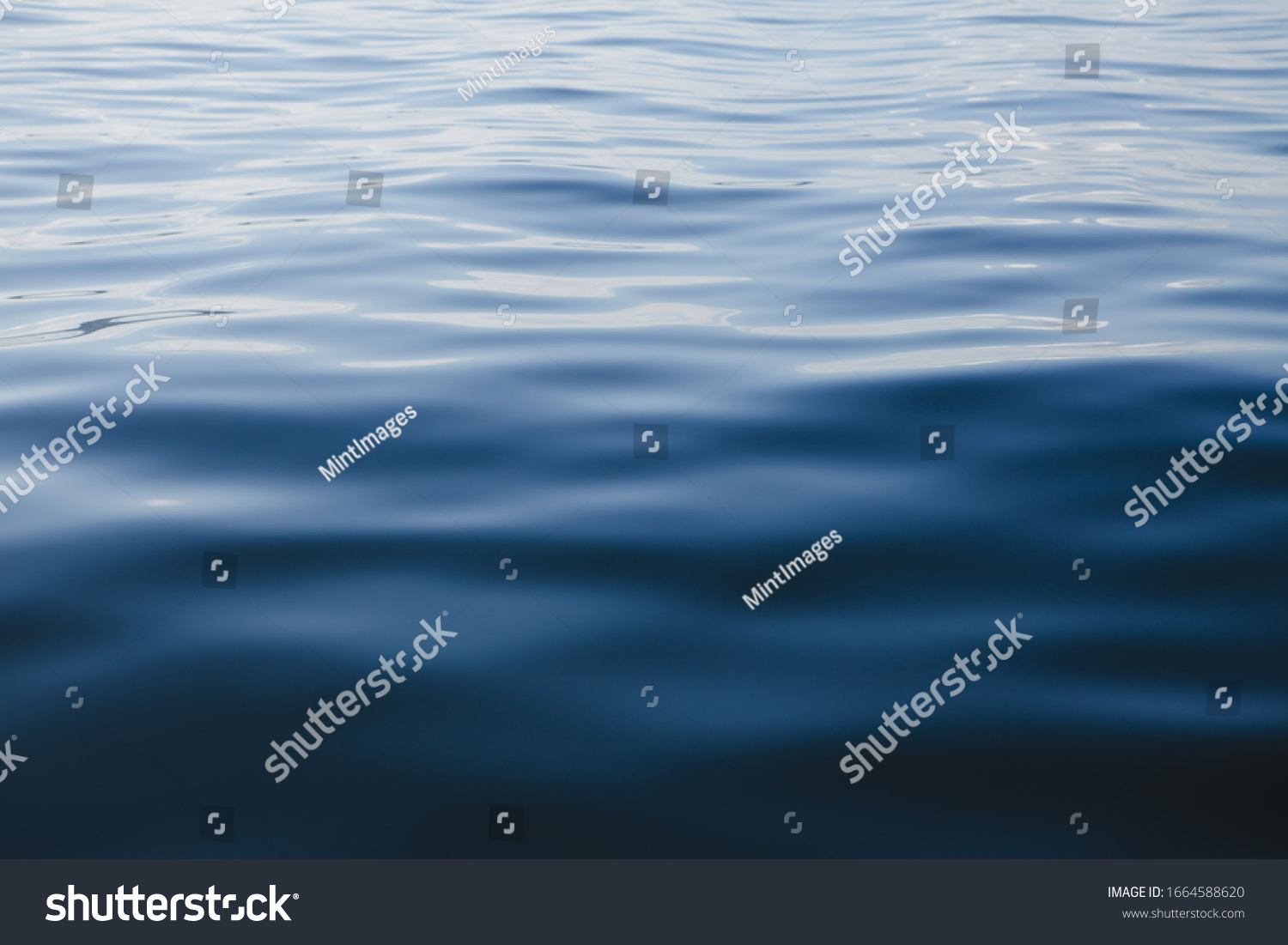 水面 横 の画像 写真素材 ベクター画像 Shutterstock