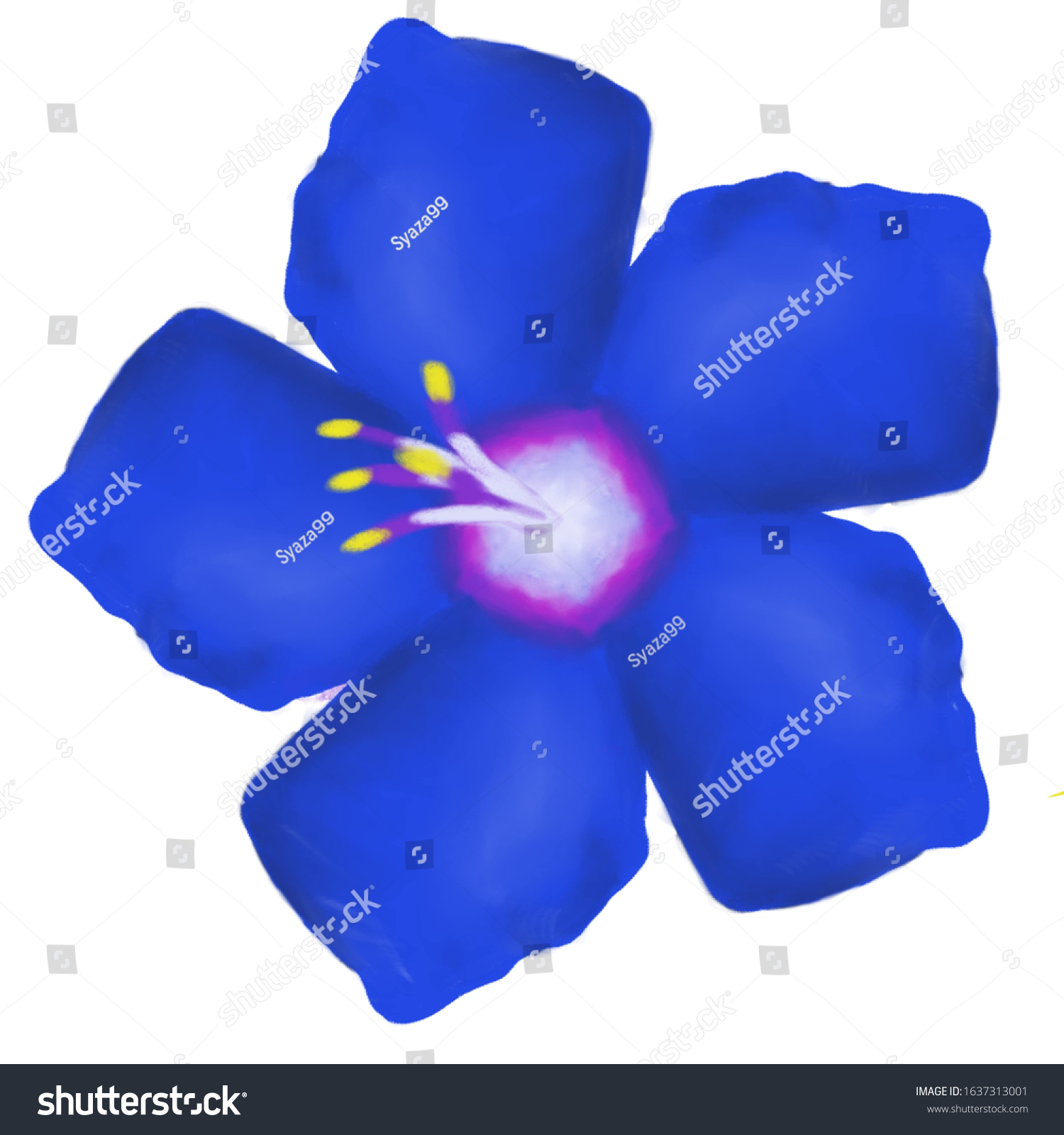 Blue Scarlet Pimpernel Flower Anagallis Arvensis Stock Illustration