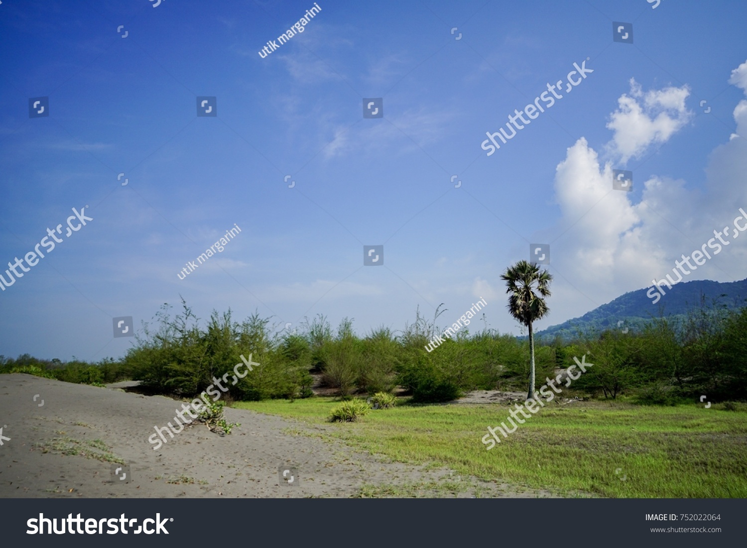 Blue Sky Gumuk Pasir Parangtritis Pantai Stock Photo Edit