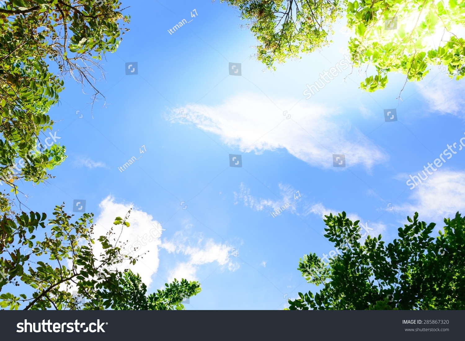 Blue Sky Green Leaves Frame Background Stock Photo 285867320 | Shutterstock