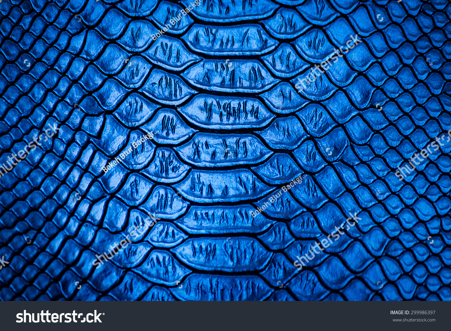 Blue Snake Skin Pattern Texture Background Stock Photo 299986397 ...