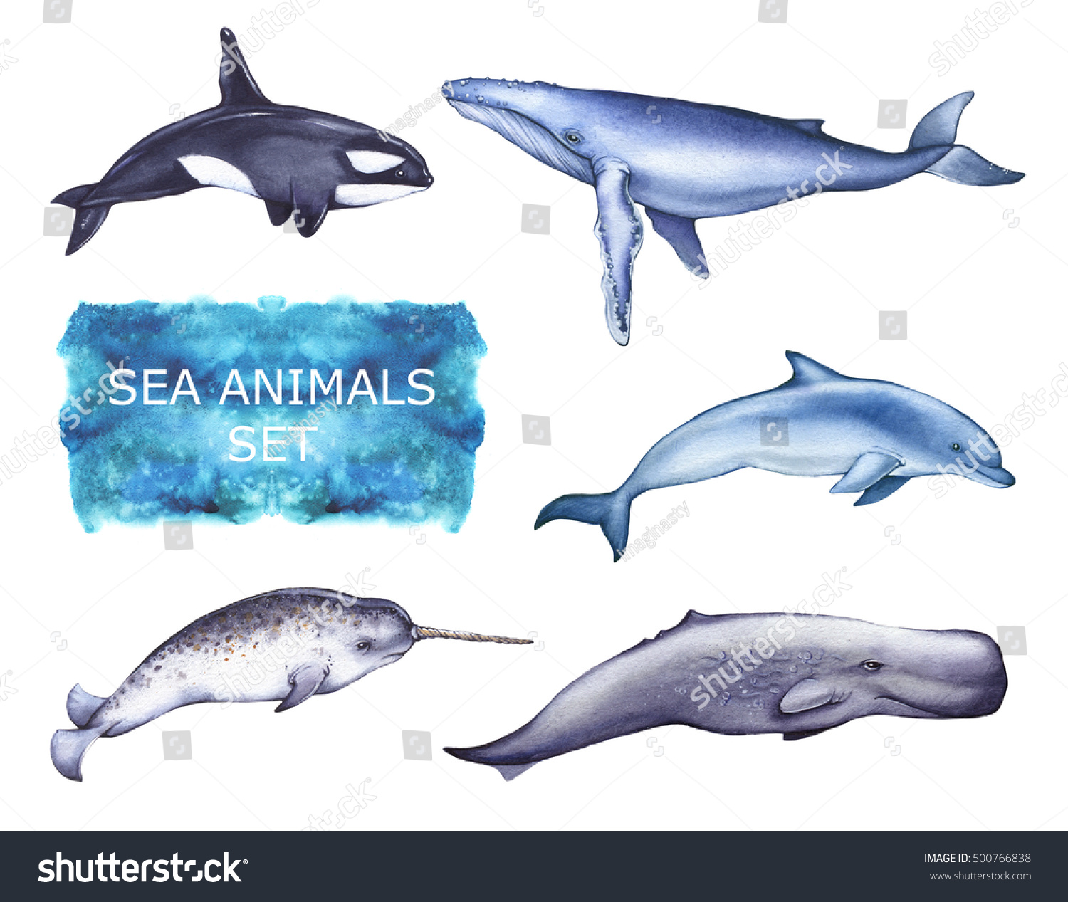 ブルークジラ マッコウクジラ イルカ キラークジラ 水彩画は非常にリアルです 白い背景に分離型 のイラスト素材