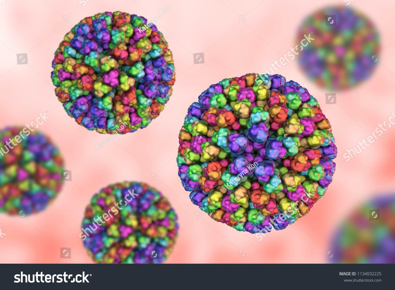 Bluetongue Images Stock Photos Vectors Shutterstock   Stock Photo Bluetongue Virus Btv D Illustration A Virus Transmitted By The Midge Culicoides Causes 1134032225 