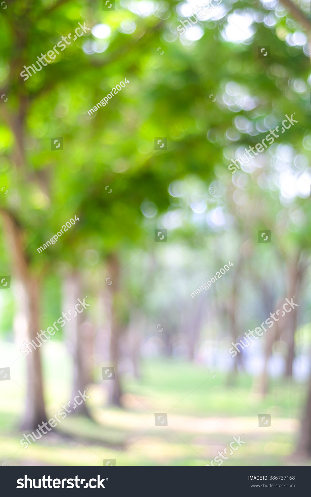 Featured image of post Blur Background Nature Png