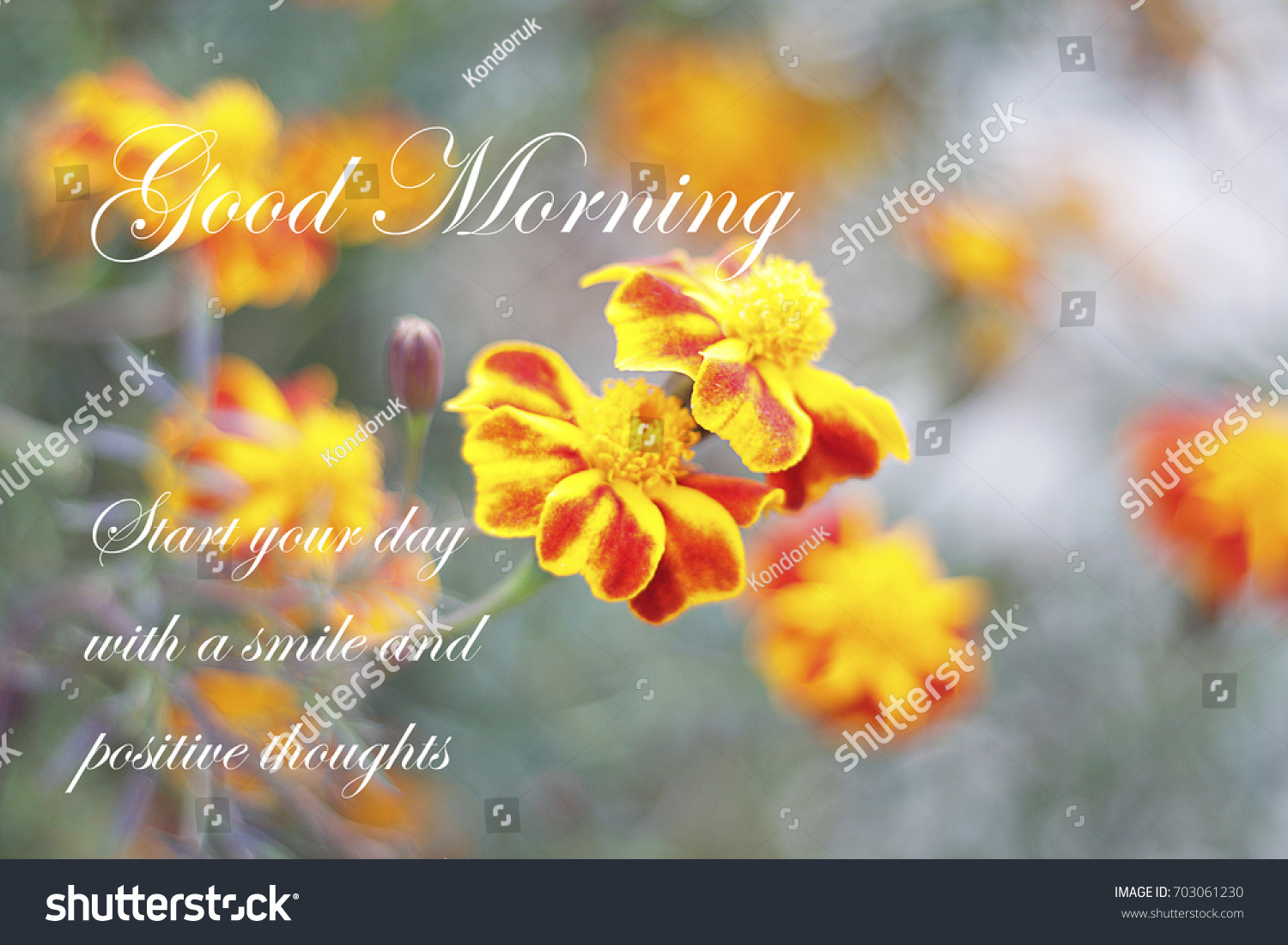 Blurry Marigold Flower Inspirational Quote Good Stock Photo Edit