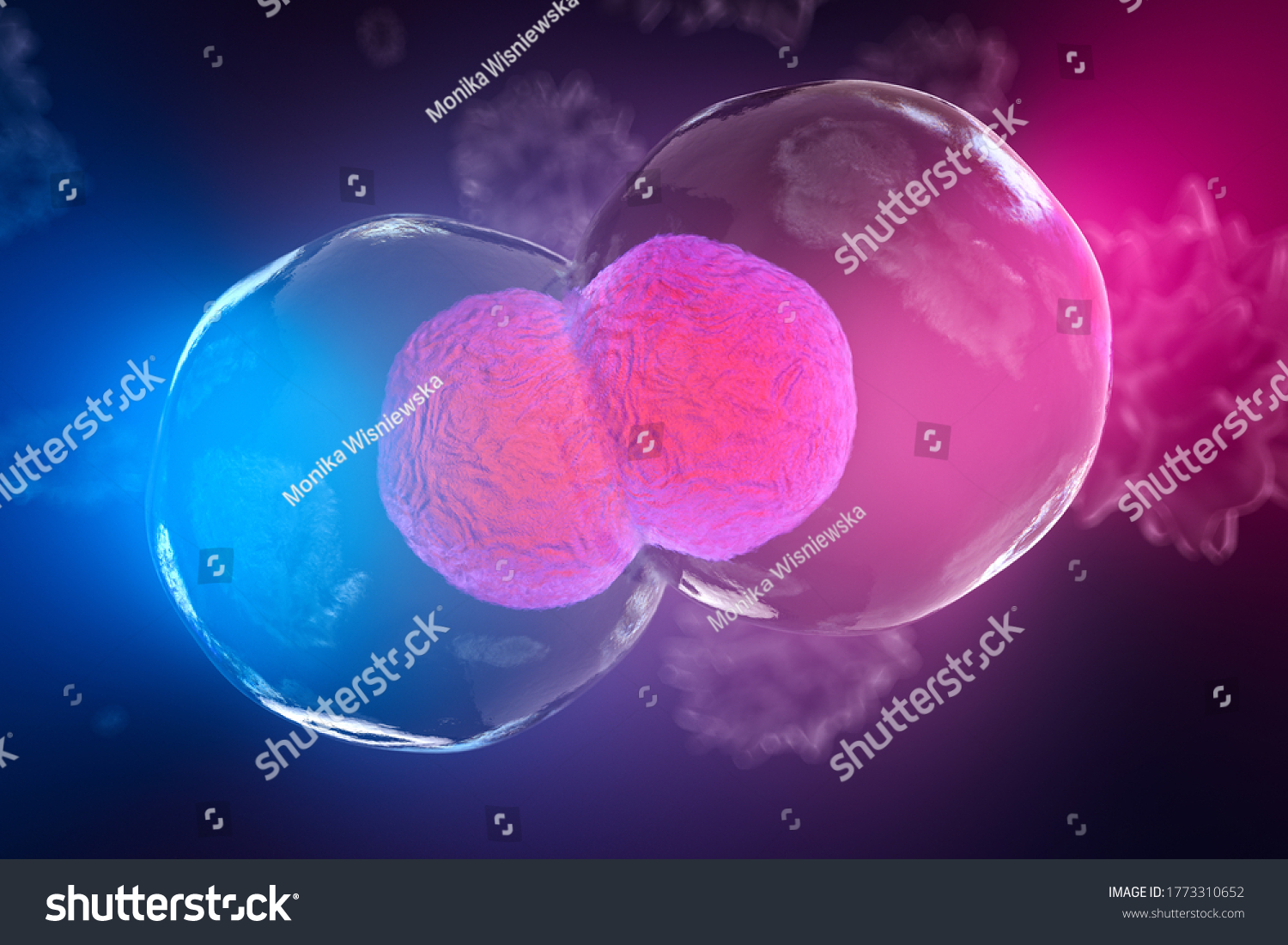 Body Cells Under Microscope Cell Division Stock Illustration 1773310652