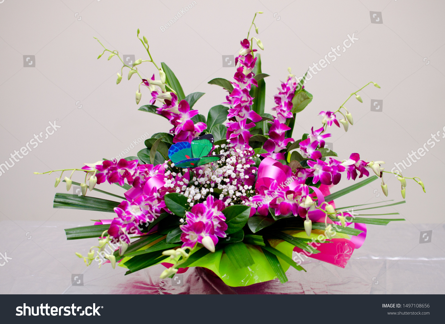 Bombay Dendrobium Orchid Bouquet Arrangement Babys Stock Photo Edit Now 1497108656