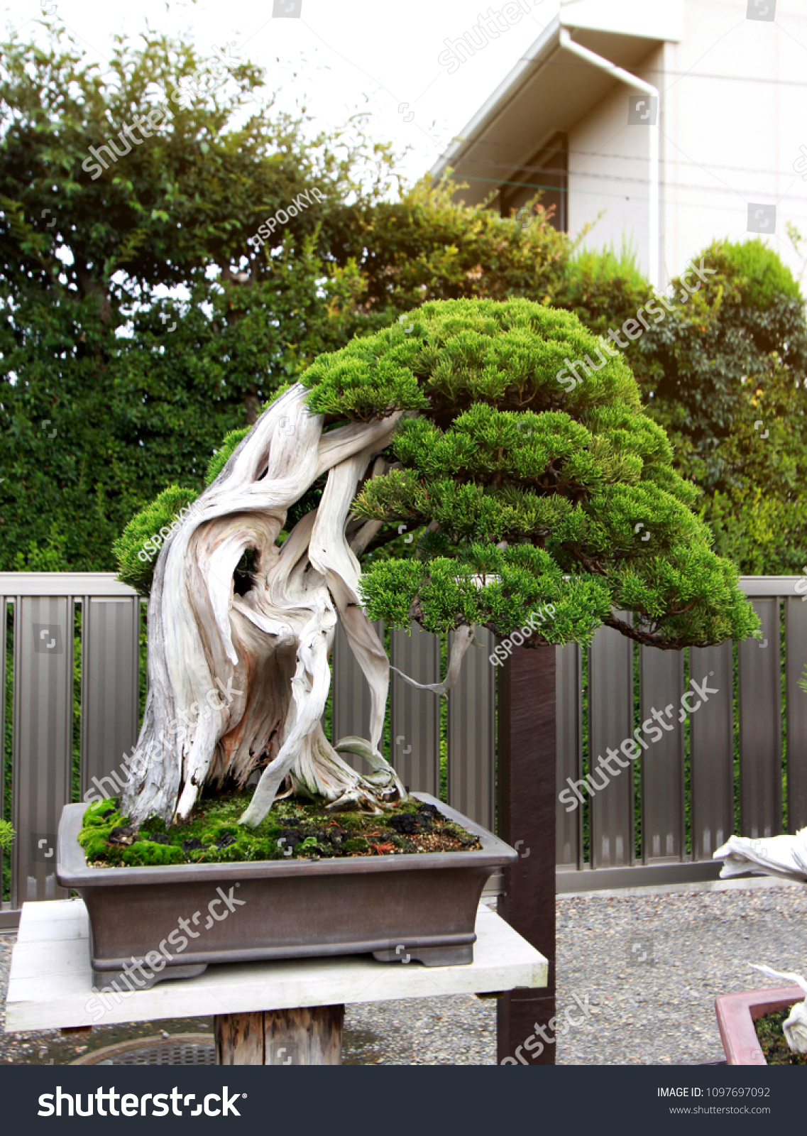 New Japanese SENKICHI Aluminium Gardening shears SGP-5NS Bonsai Japan garden 