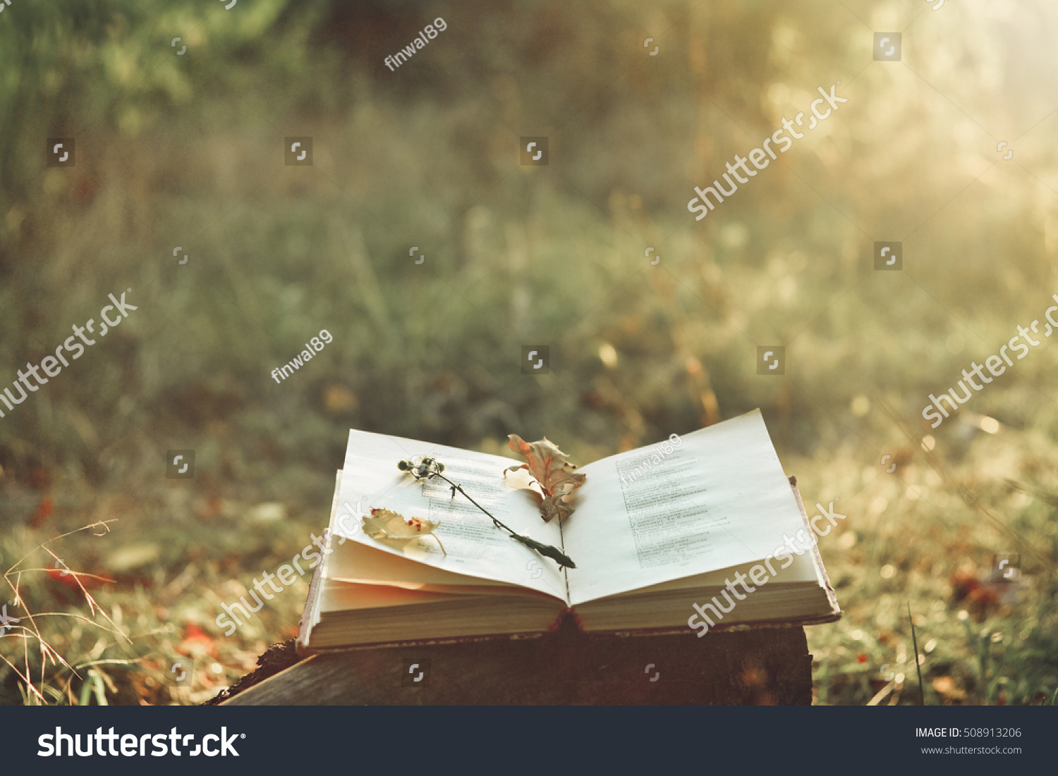 76,320 Poetry Images, Stock Photos & Vectors | Shutterstock