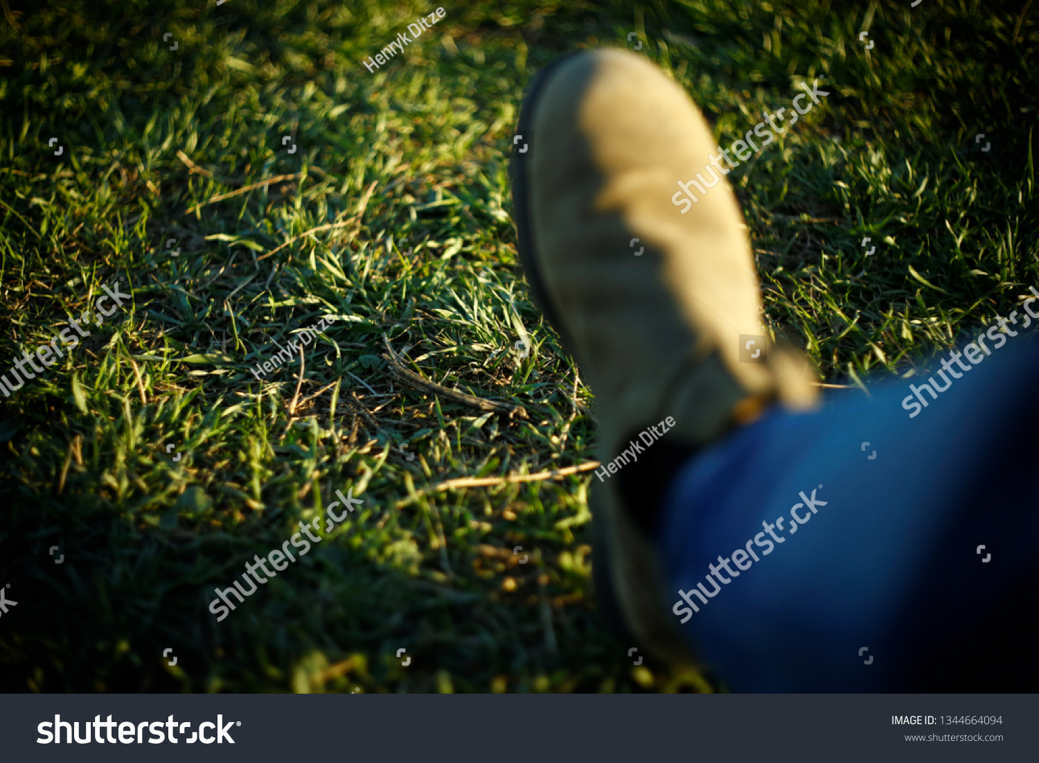 251 Poop shoe Images, Stock Photos & Vectors | Shutterstock