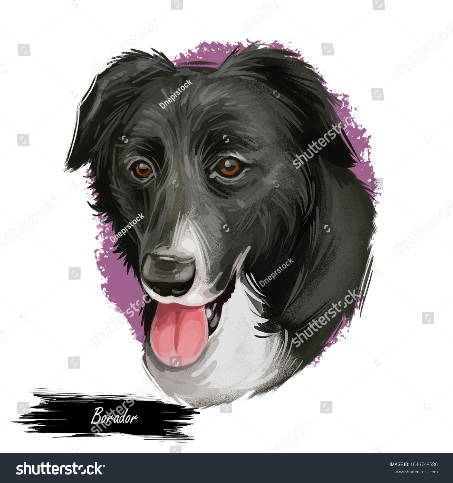 可愛い犬の動物を描いたボラドールのデジタルアートイラスト ラブラドール レトリーバーとボーダー コリーの手描きのポートレート 口と舌を開けた犬 の鼻口部を横切って作った雑種犬 のイラスト素材