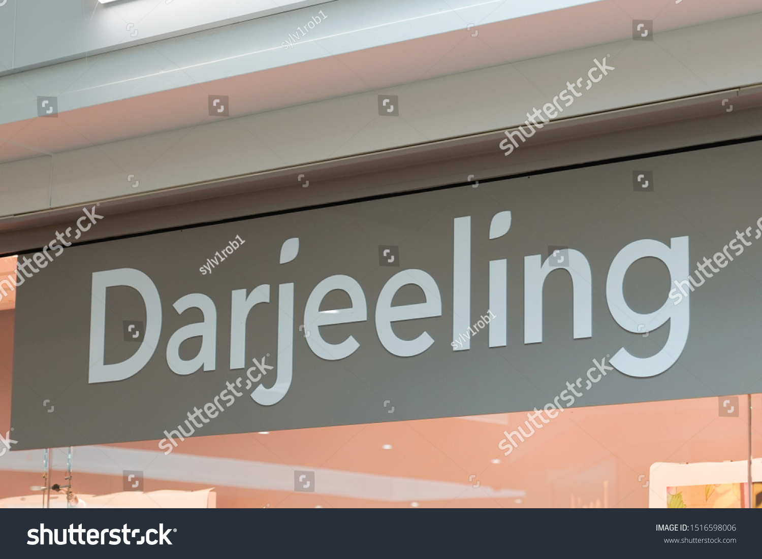 darjeeling collection 2019