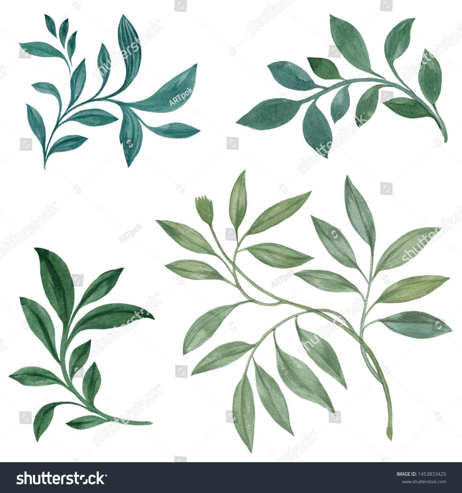 Botanical Clipart Set Green Leaves Herbs Stock Illustration 1453833425