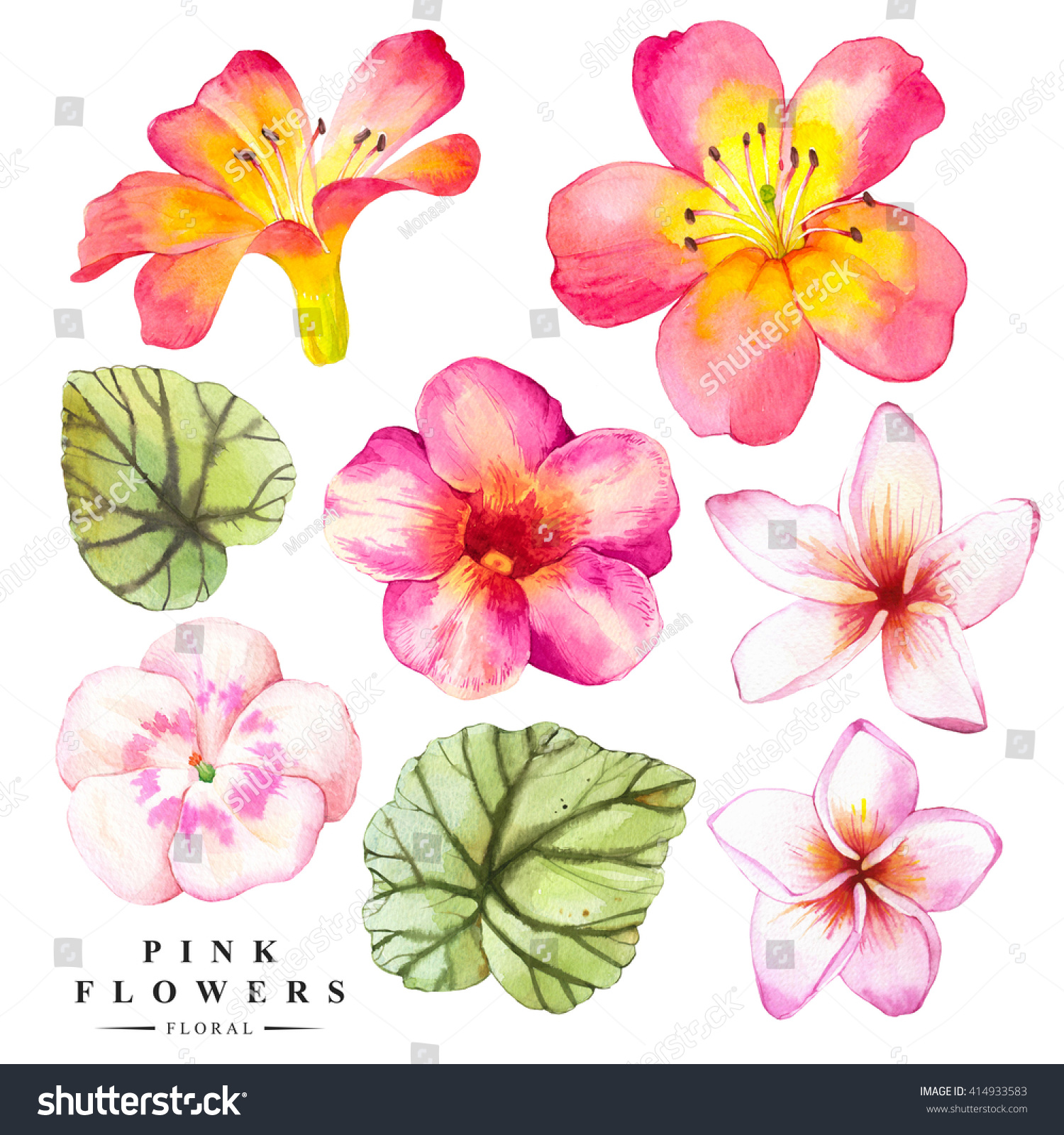 Download Botanical Illustration Realistic Tropical Flowers Leaves Stock Illustration 414933583