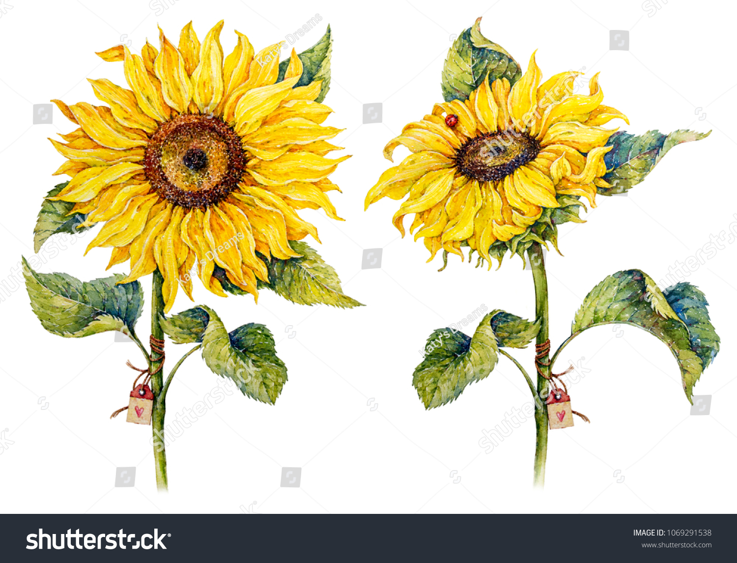 458,397 Colorful sunflowers Images, Stock Photos & Vectors | Shutterstock