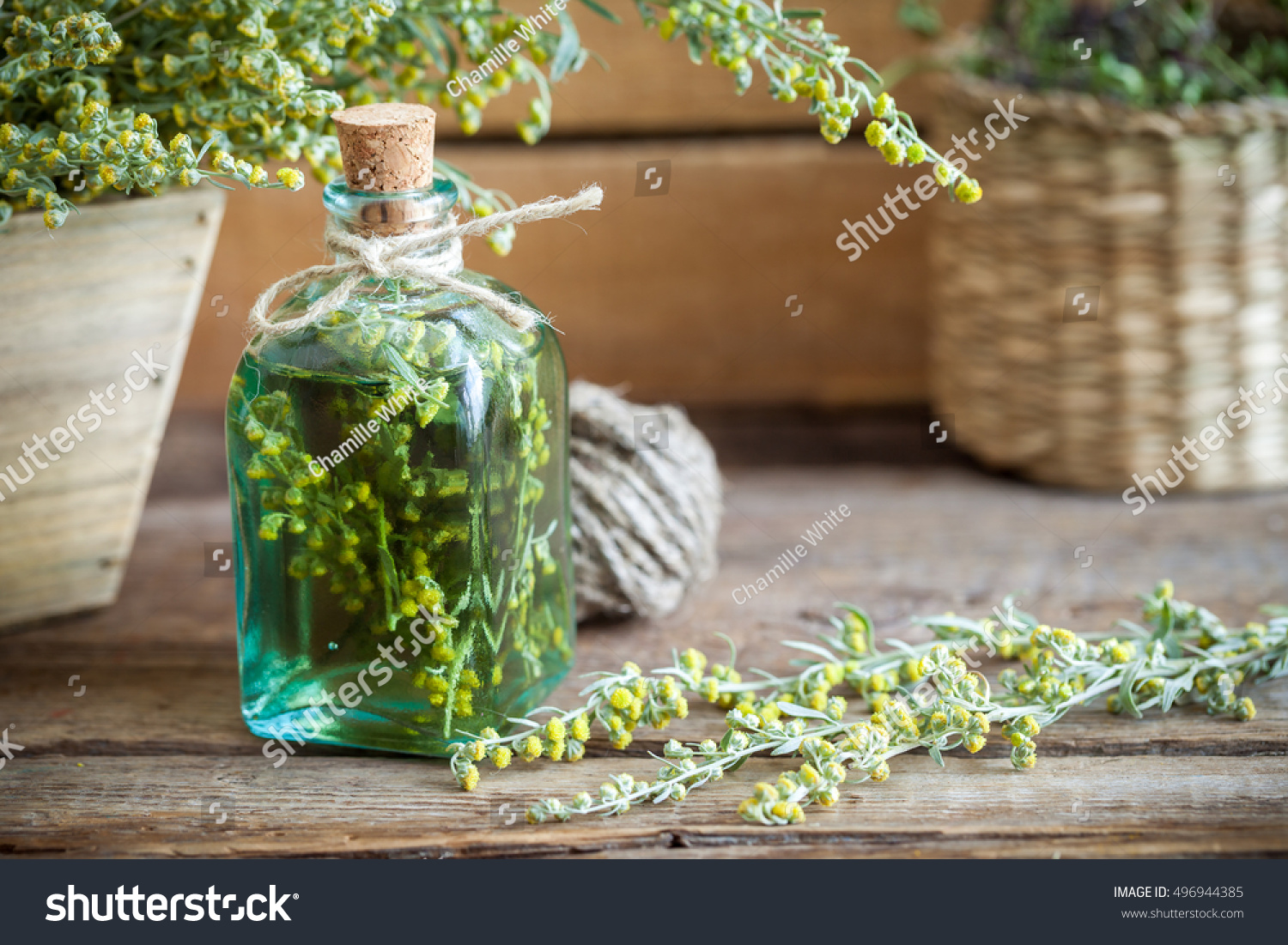 Bottle Absent Tincture Tarragon Absinthe Healing Stock Bottle Absent Tincture Tarragon Absinthe Healing Stock