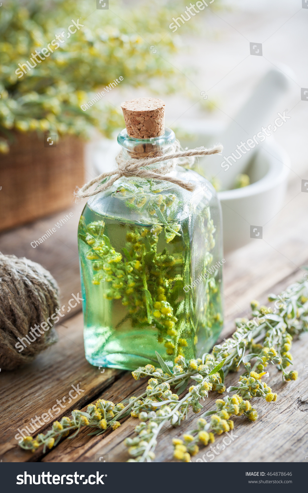 Bottle Absent Tincture Tarragon Healthy Herbs Stock Photo Bottle Absent Tincture Tarragon Healthy Herbs Stock Photo