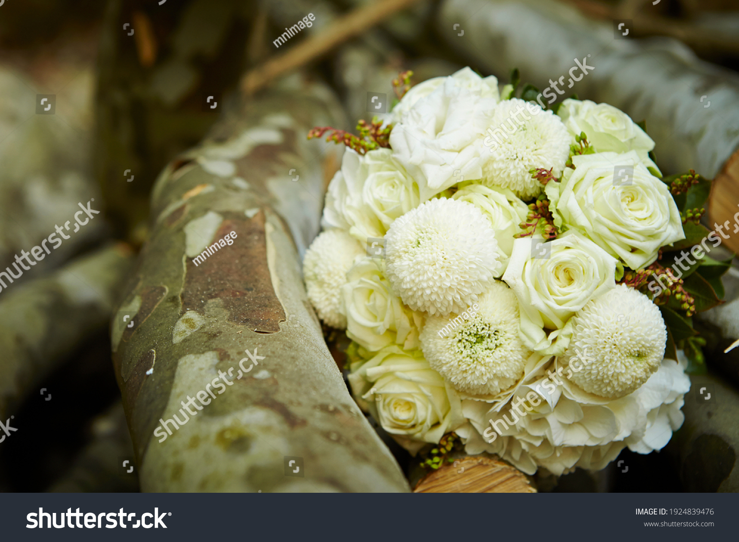 96,666 Hydrangea bouquet Images, Stock Photos & Vectors | Shutterstock