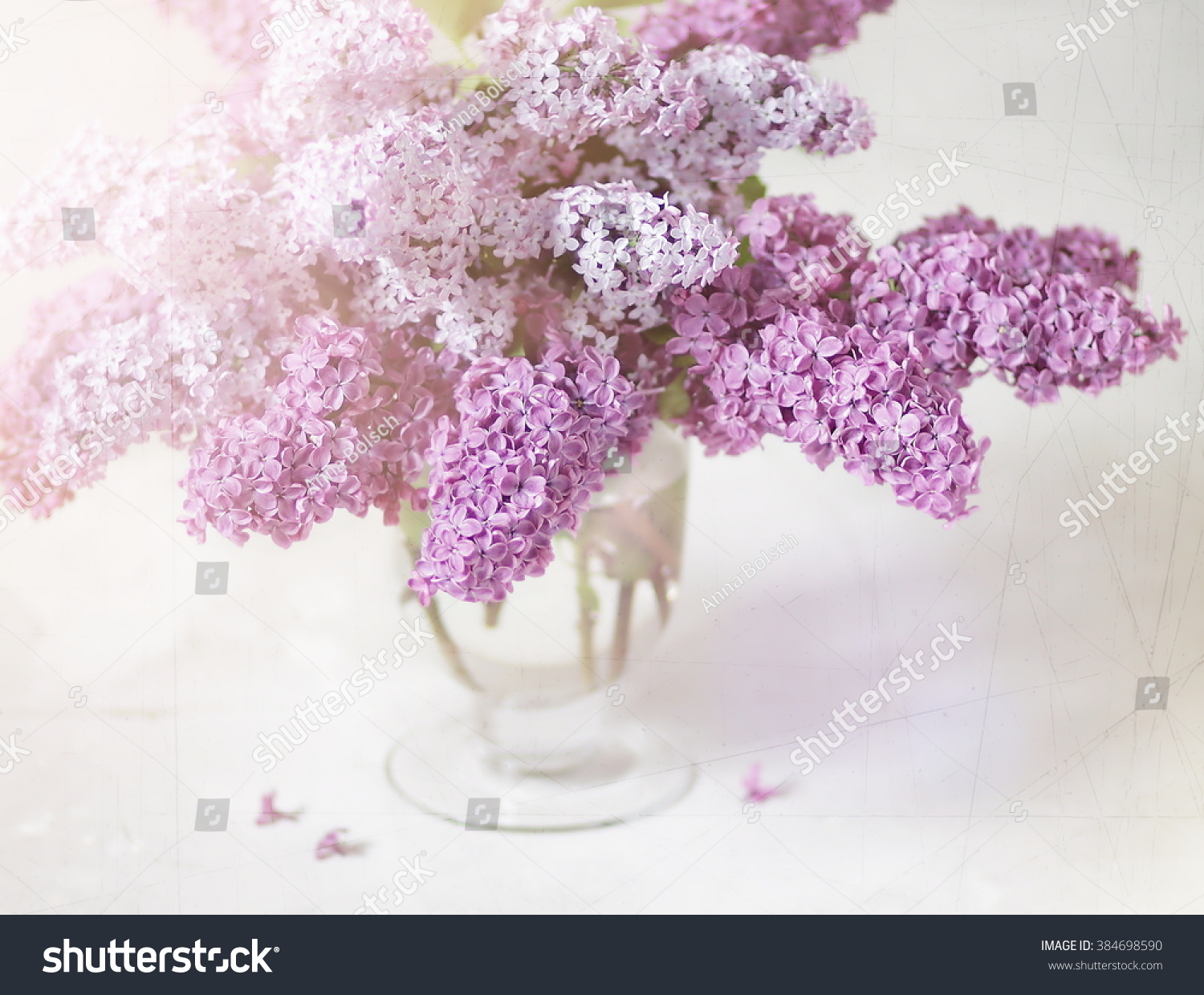 Bouquet Lilacs Glass Vase Branch Spring Stock Photo Edit Now