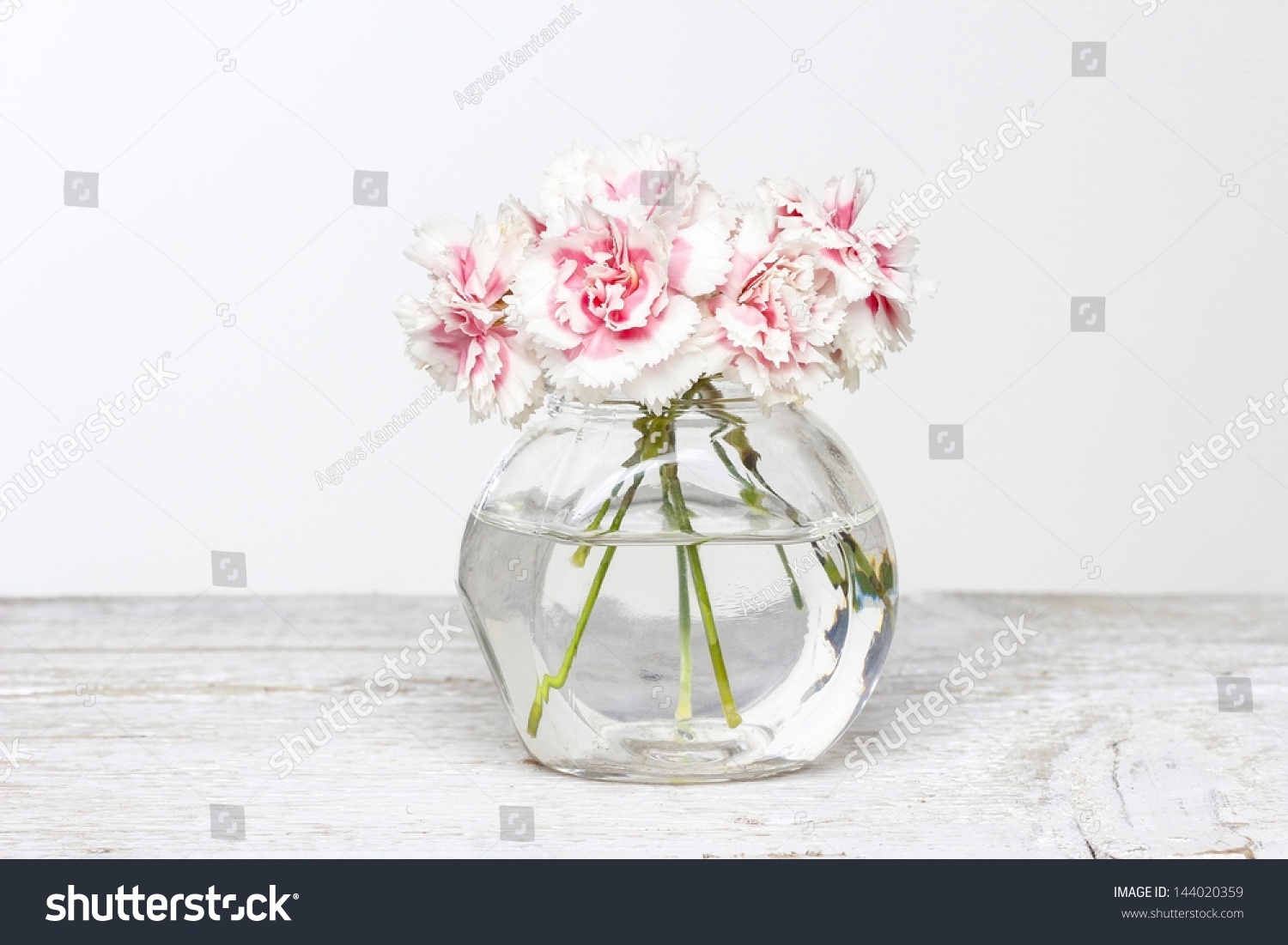 Bouquet Pink Carnations Small Glass Vase Stock Photo Edit Now