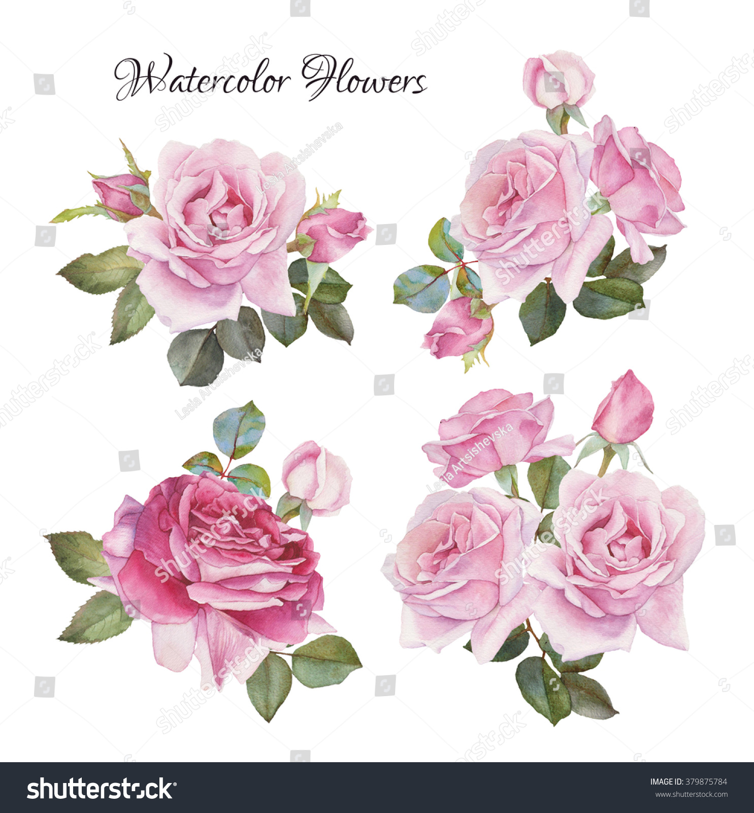 Bouquet Roses Flowers Set Hand Drawn Stock Illustration 379875784