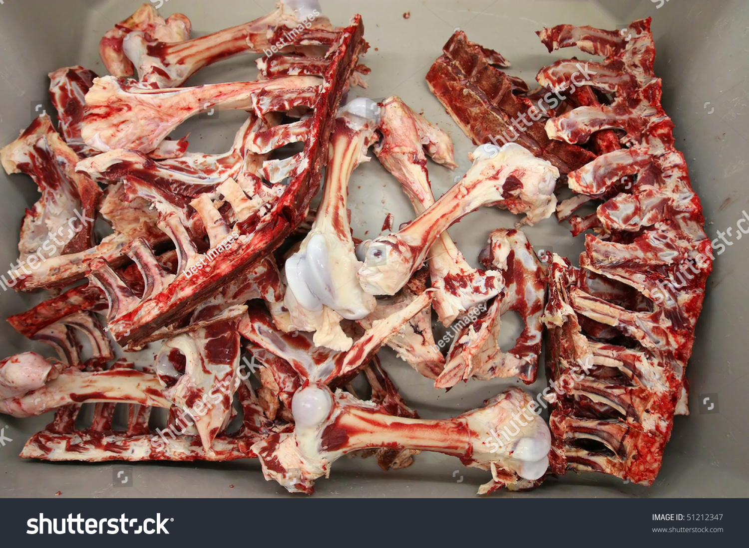 Box Blood Bones Butchery Meat Producing Backgrounds Textures Stock Image
