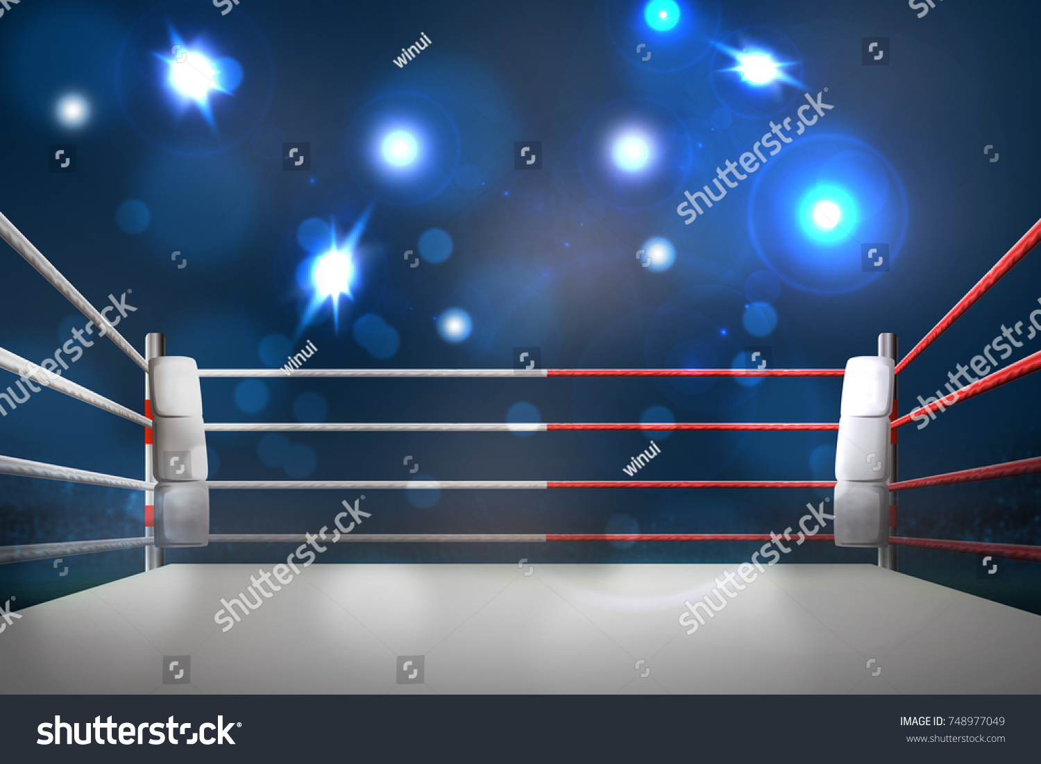 Boxing Ring Illumination By Spotlights Digital Stock Illustration ...