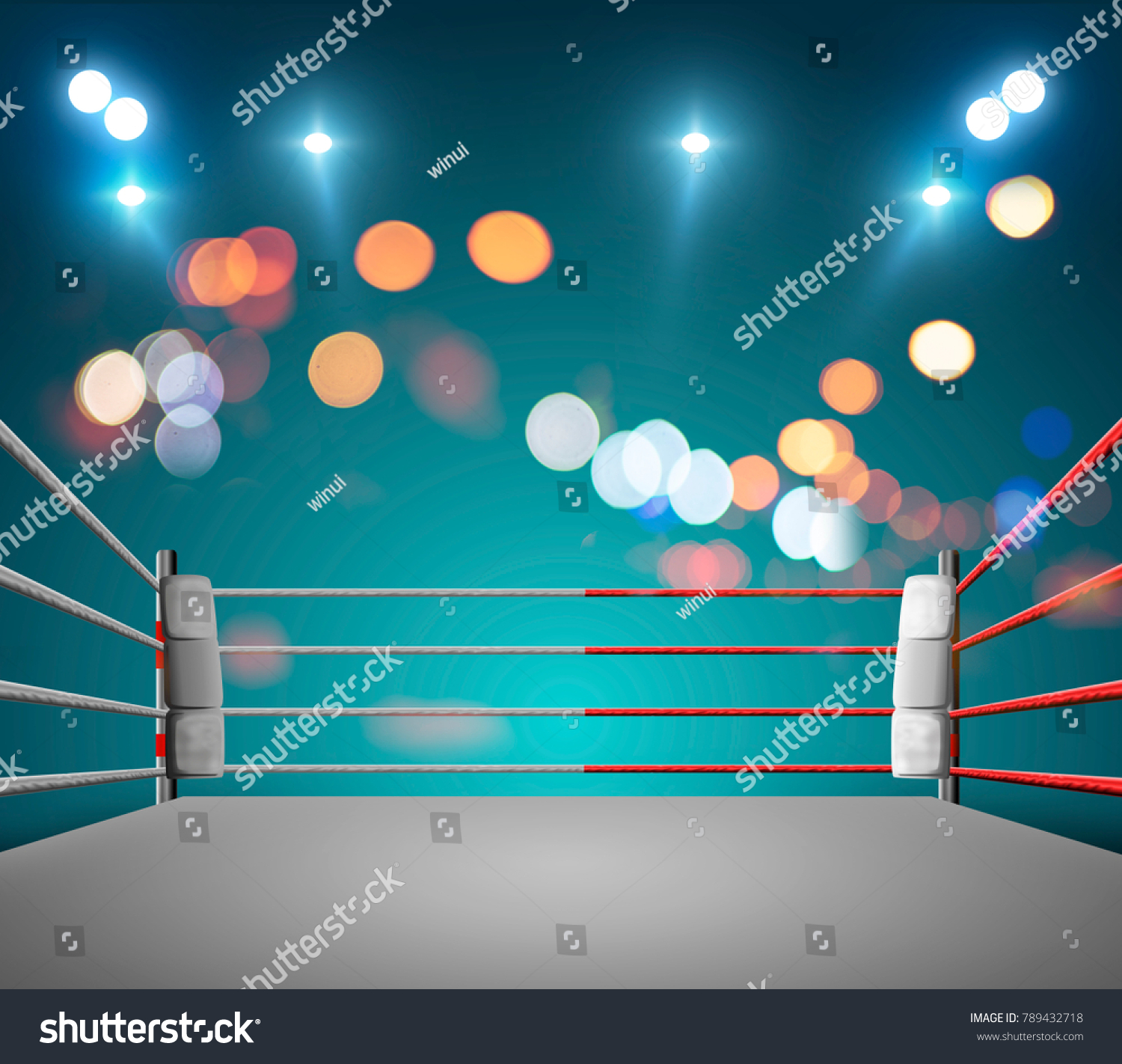 Boxing Ring Illumination By Spotlights Digital Stock Illustration 789432718 Shutterstock 