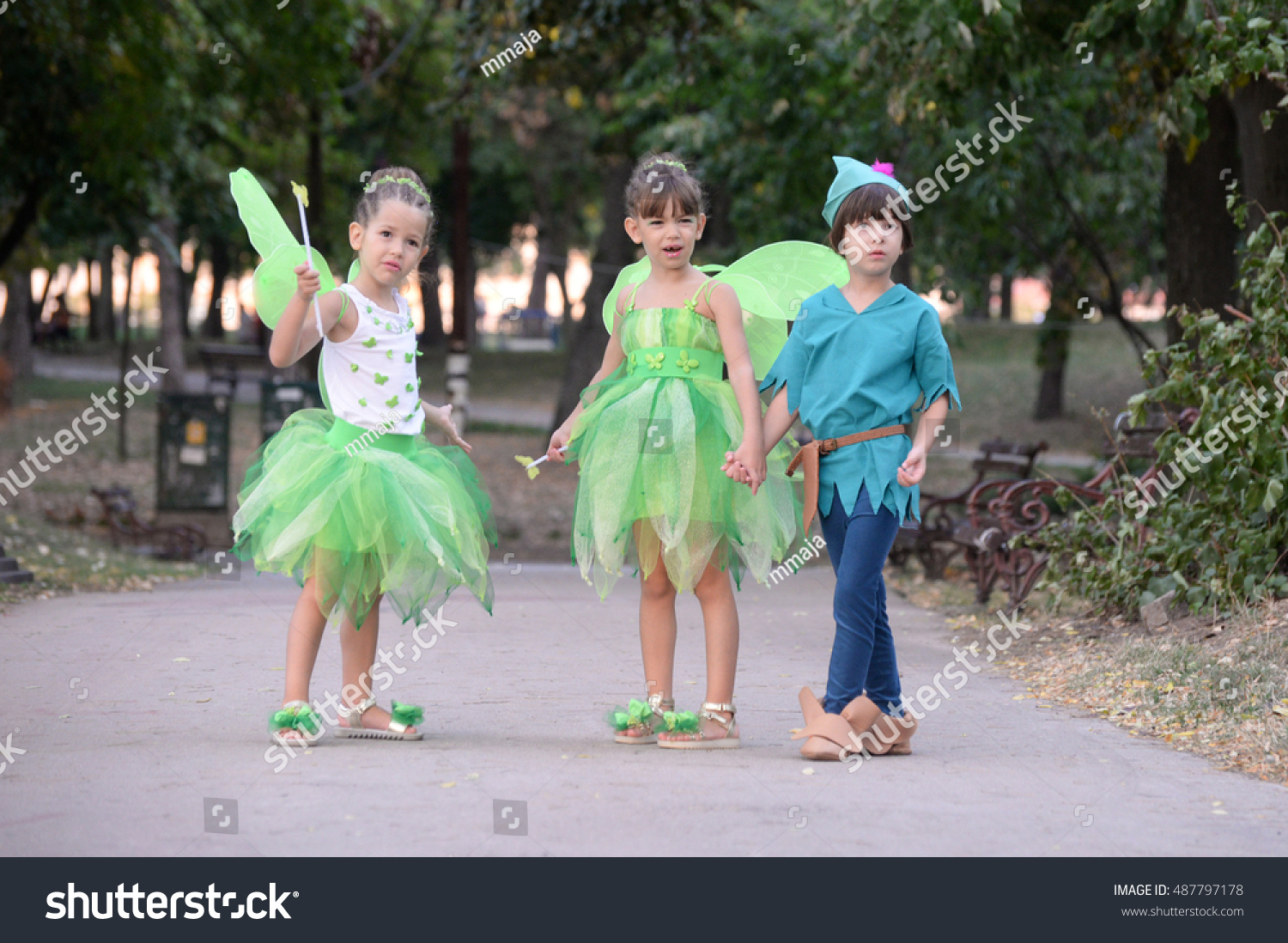 fairy costume for boy