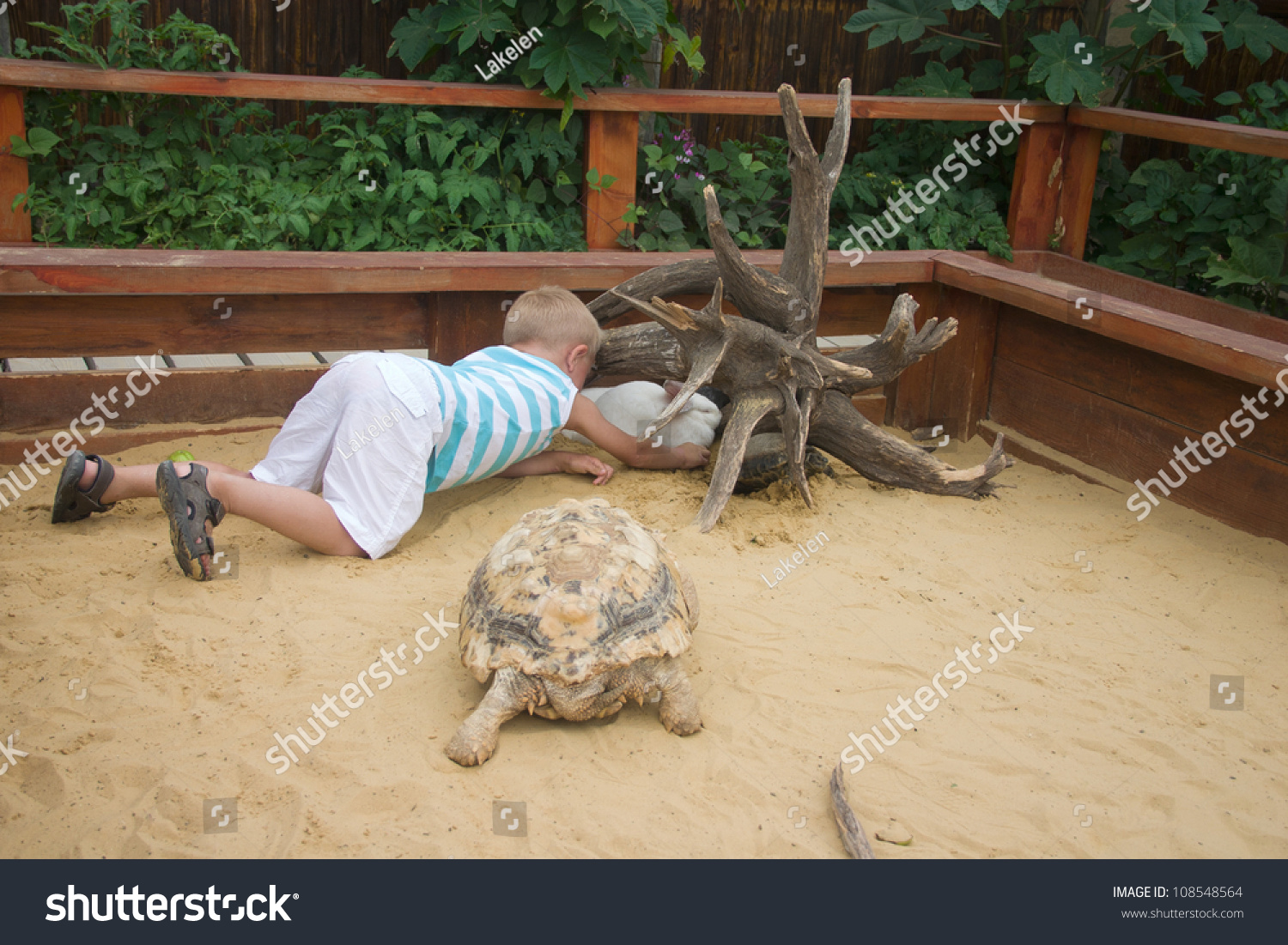 turtle sandbox in stock