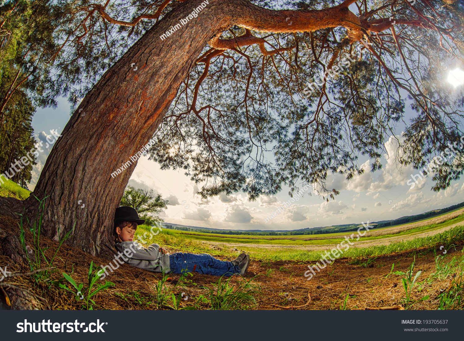 421 Boy sleeping under tree Stock Photos, Images & Photography ...