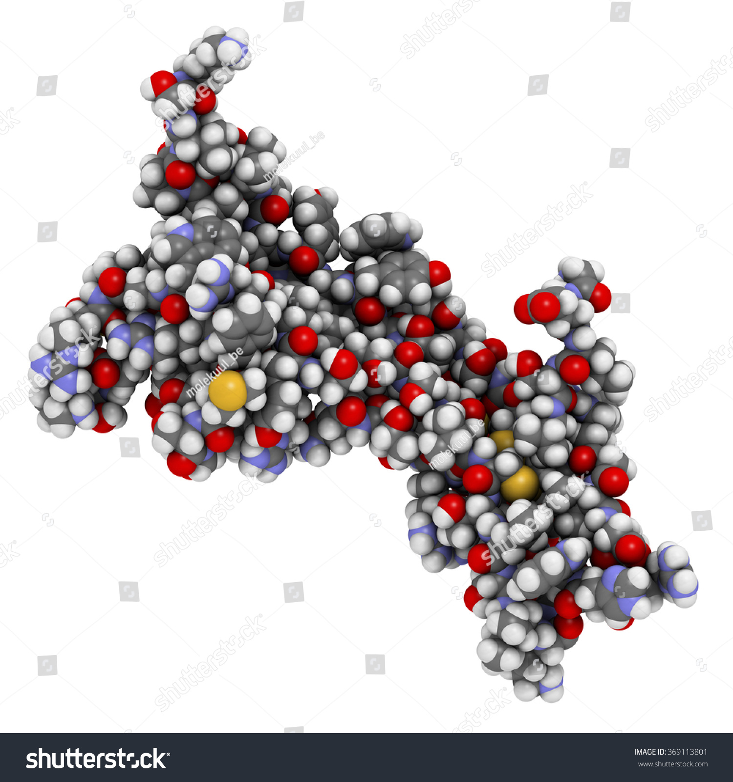 Brainderived Neurotrophic Factor BDNF Protein Molecule Stock ...