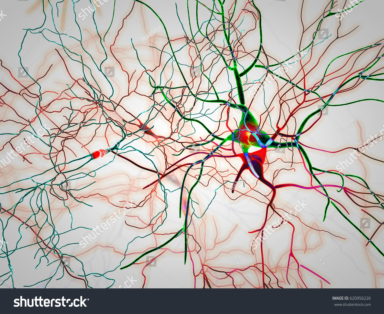 Brain Neurons Synapses Neural Network Circuit Stock Illustration 620956226