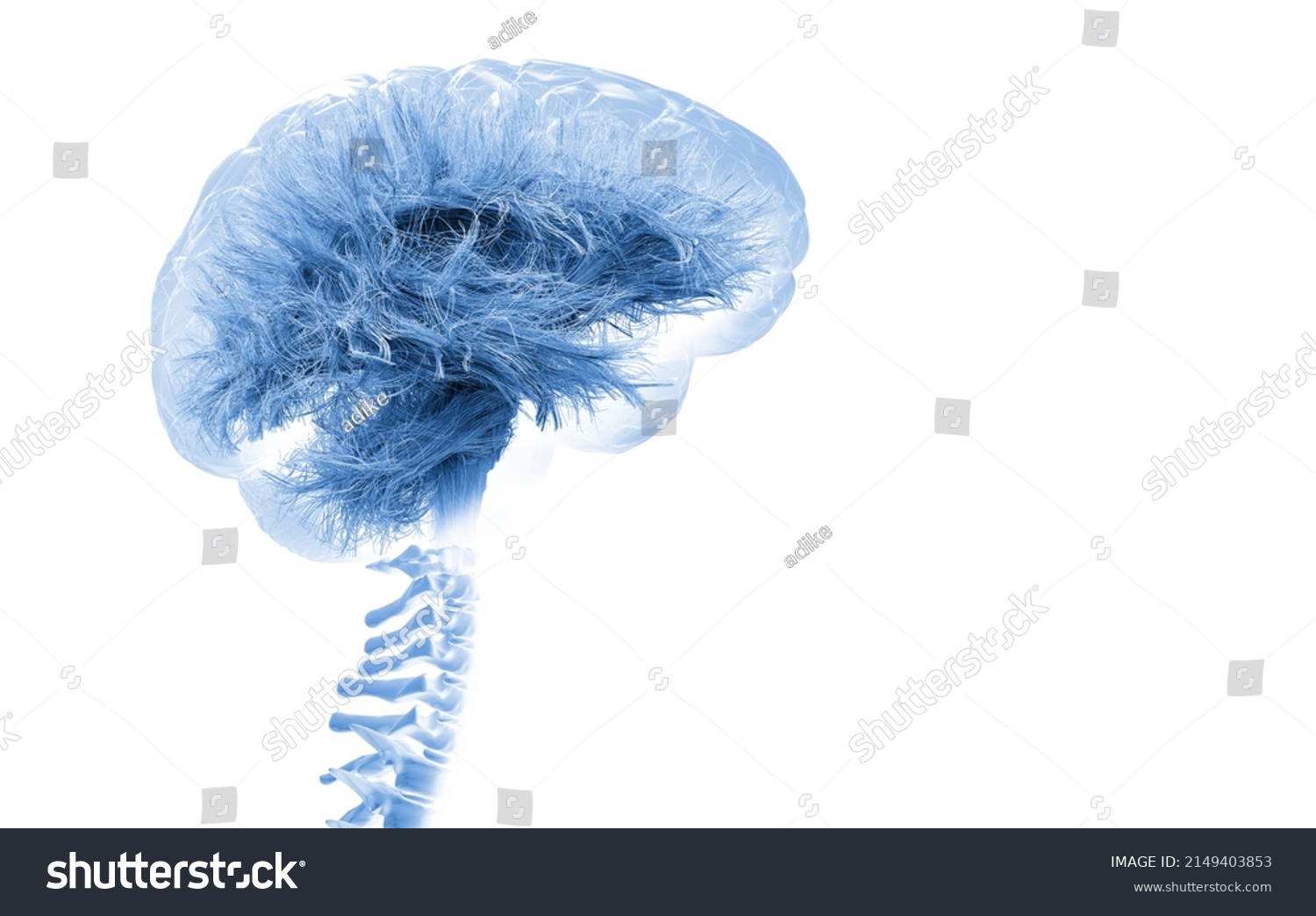 Brain On White Background 3d Render Stock Illustration 2149403853 