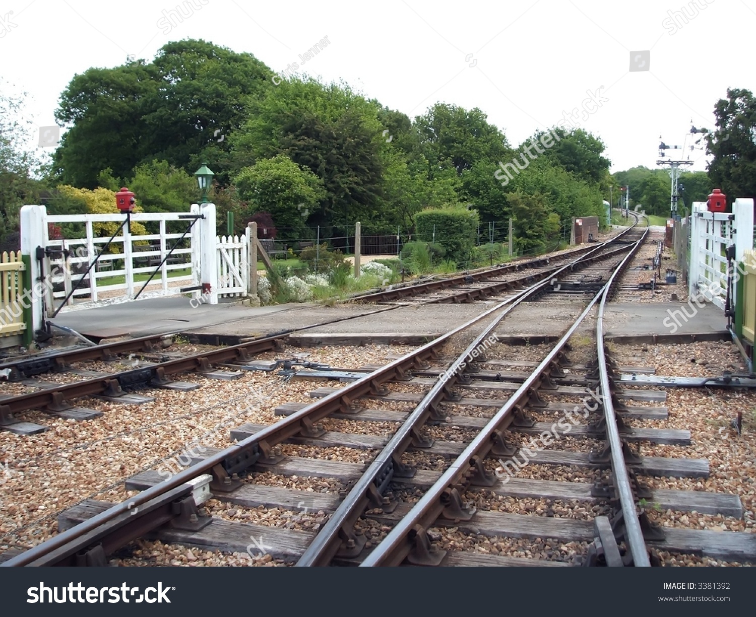 Branch Line Stock Photo 3381392 : Shutterstock